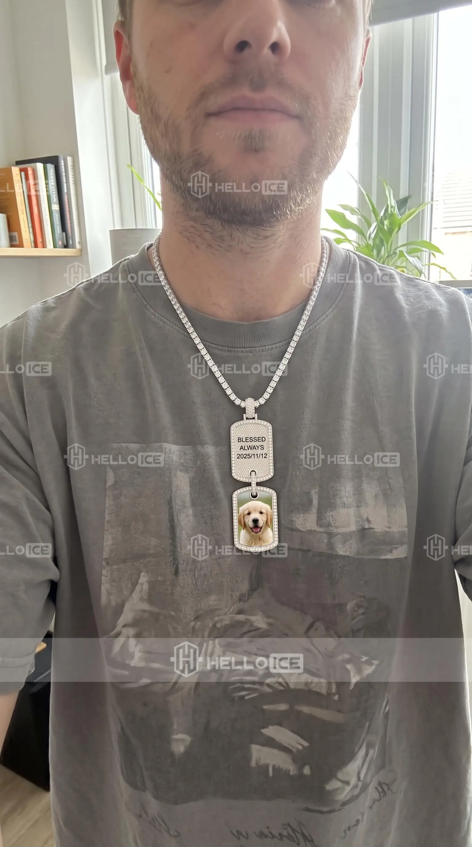 Helloice Review Image