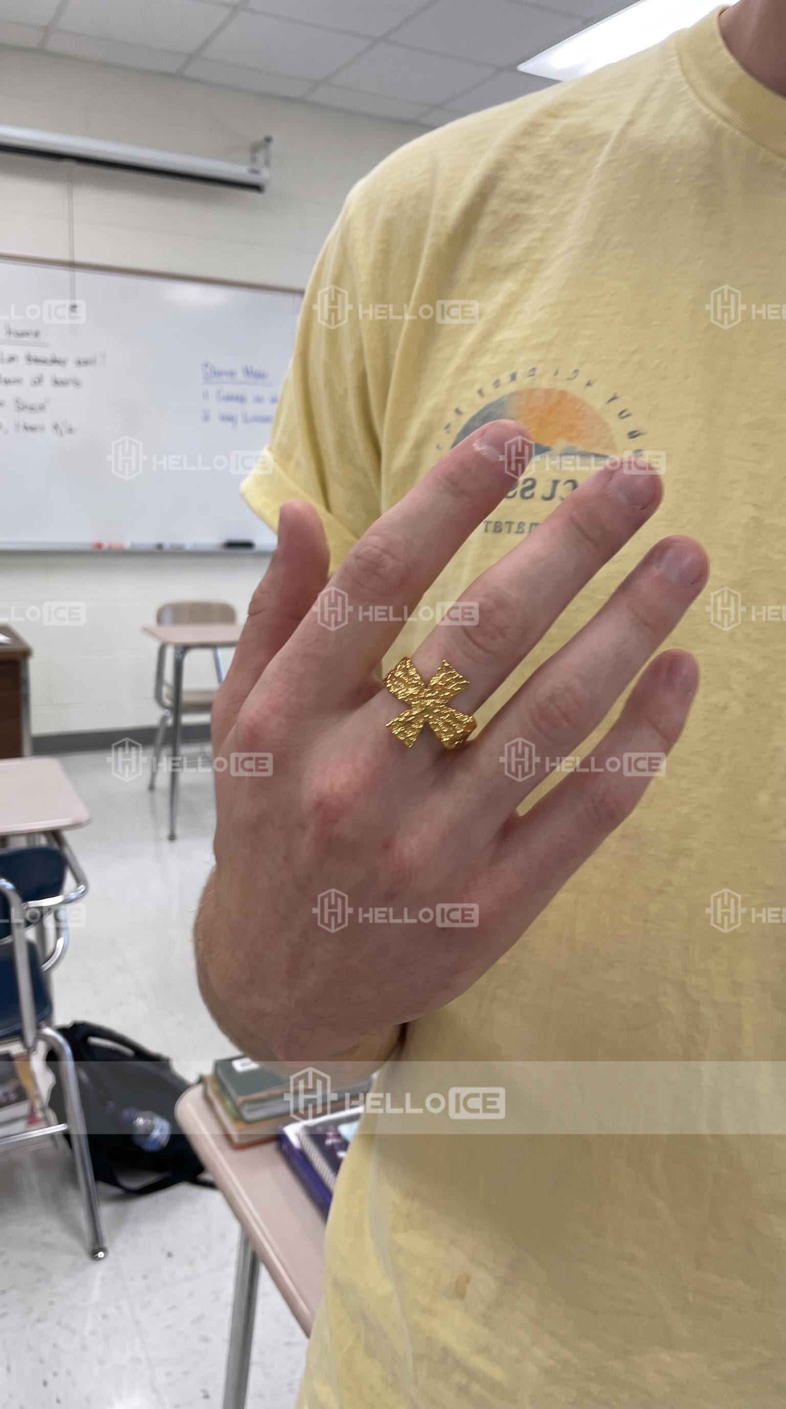 Helloice Review Image