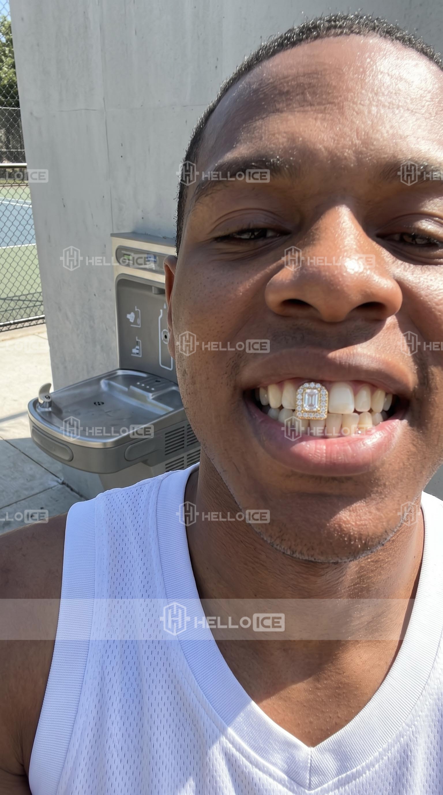 Helloice Review Image