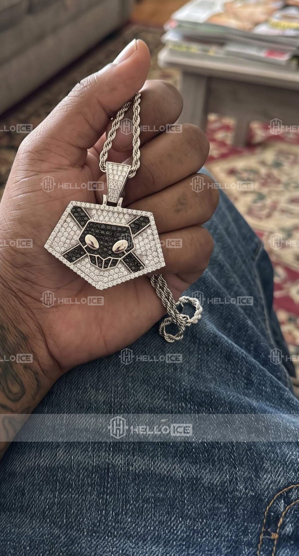 Helloice Review Image
