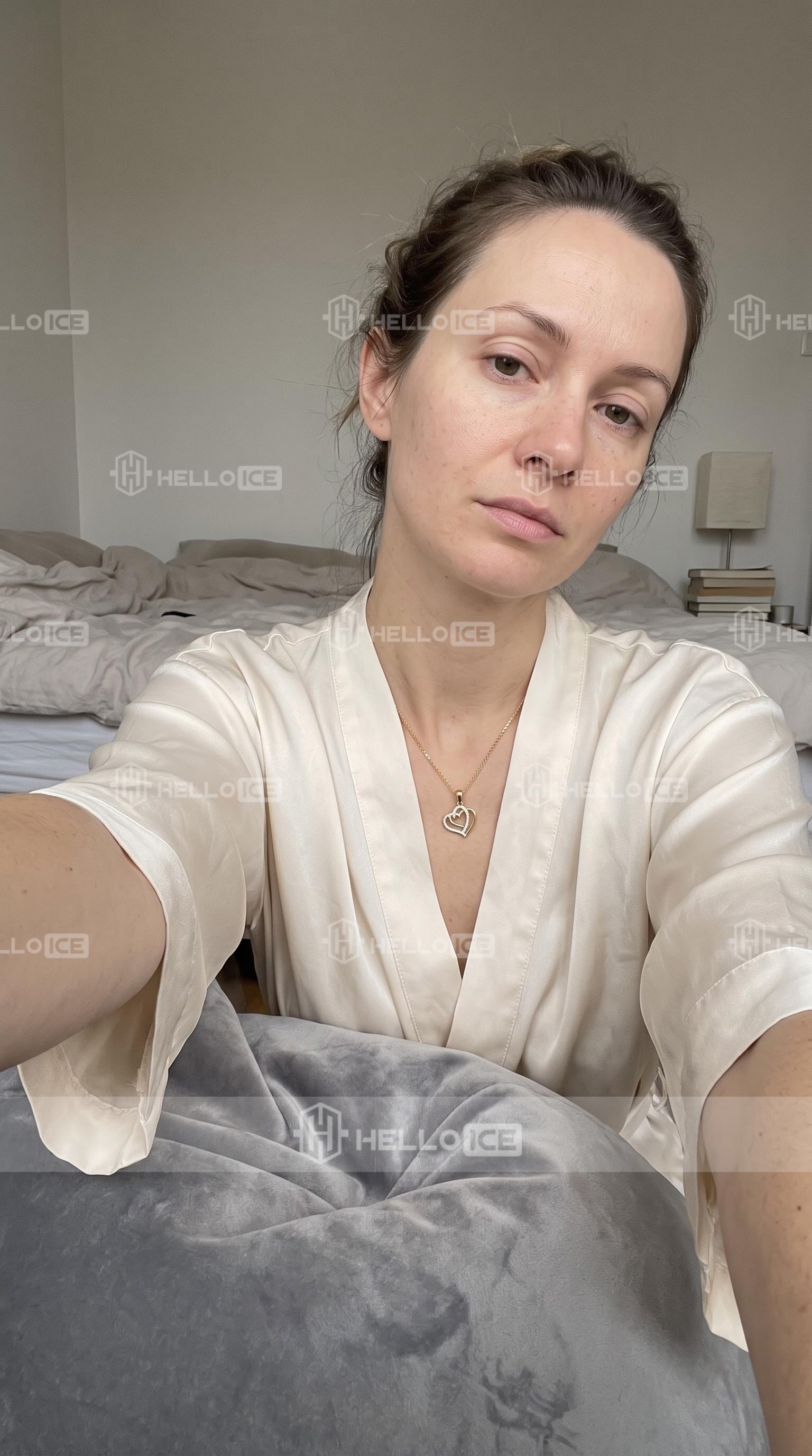 Helloice Review Image