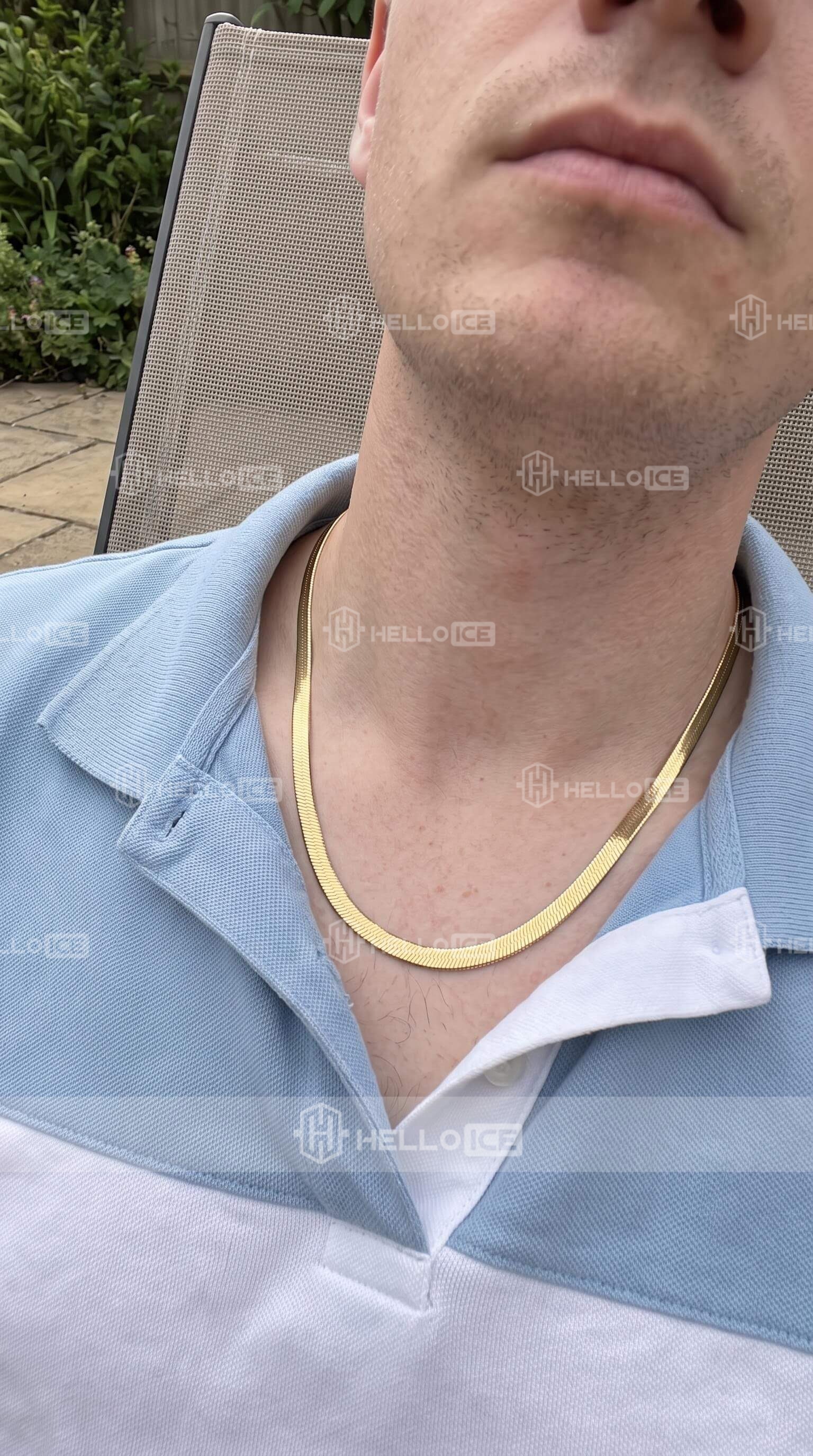 Helloice Review Image