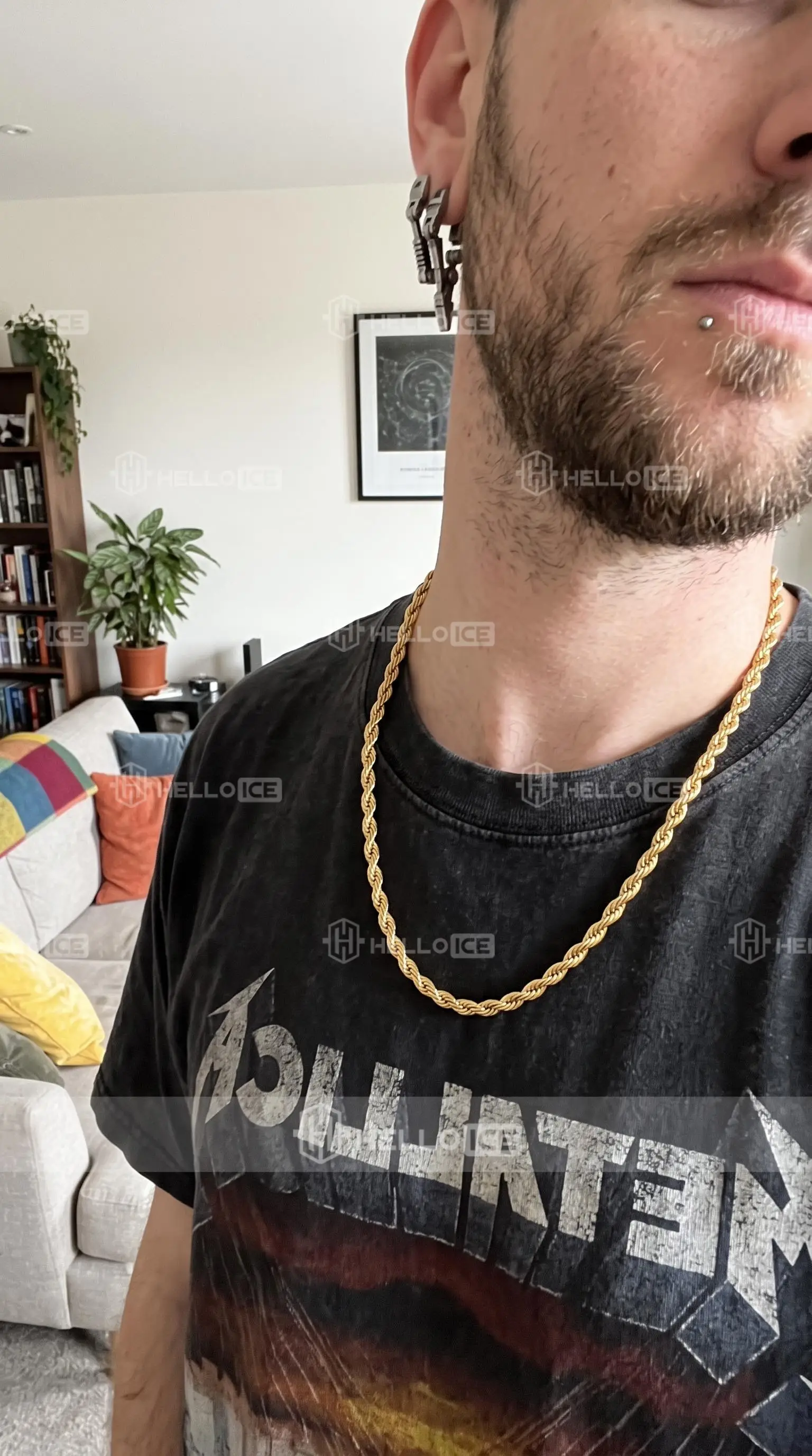 Helloice Review Image