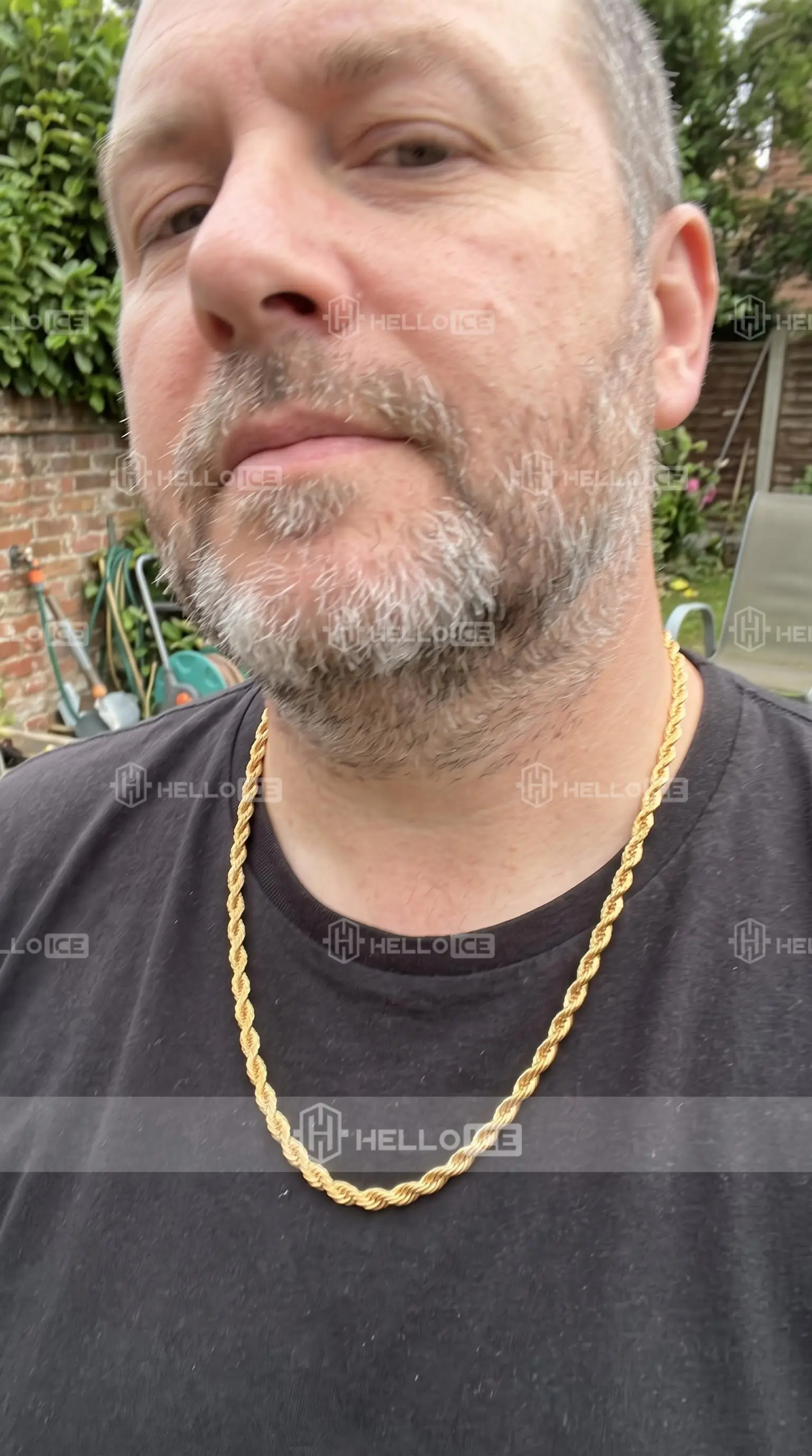 Helloice Review Image