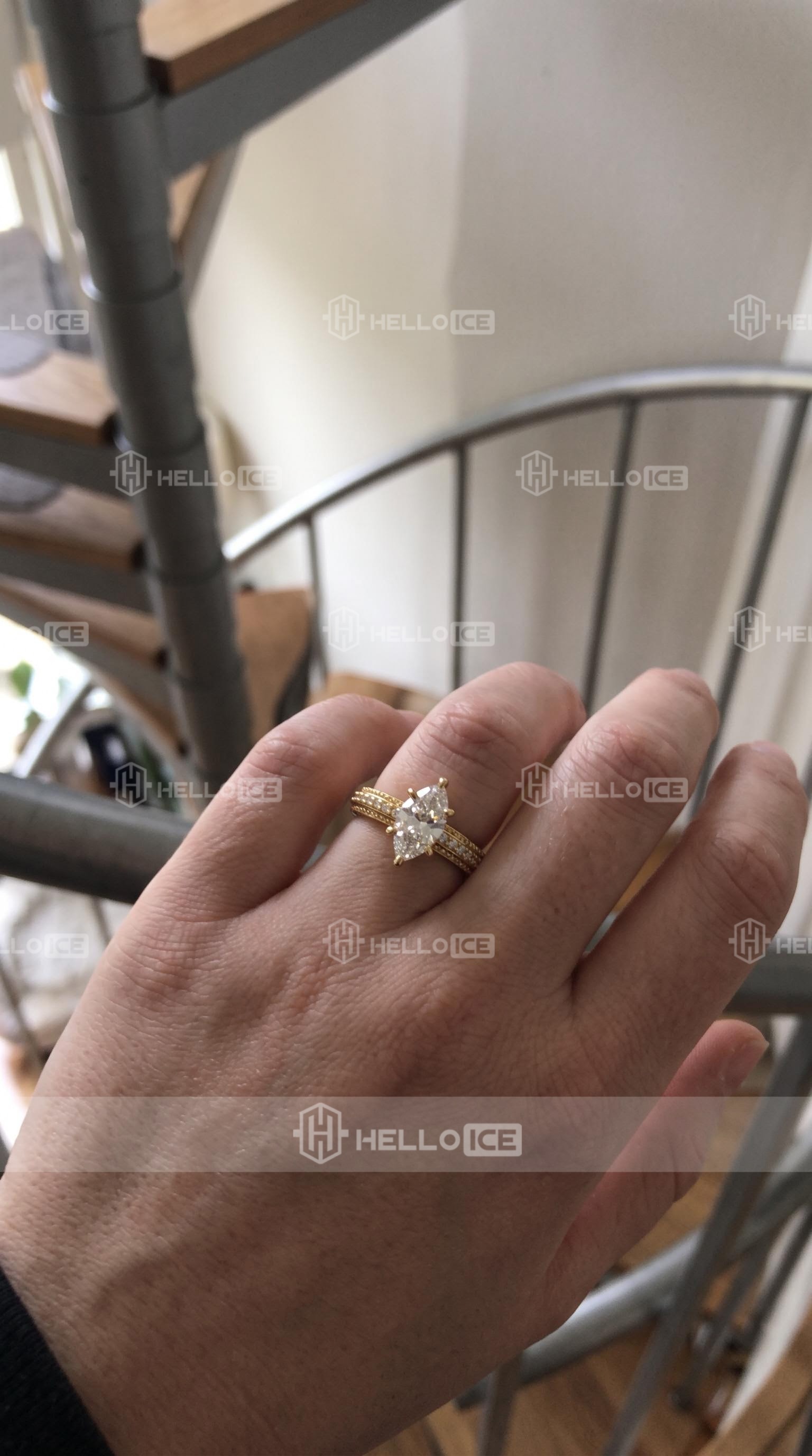 Helloice Review Image