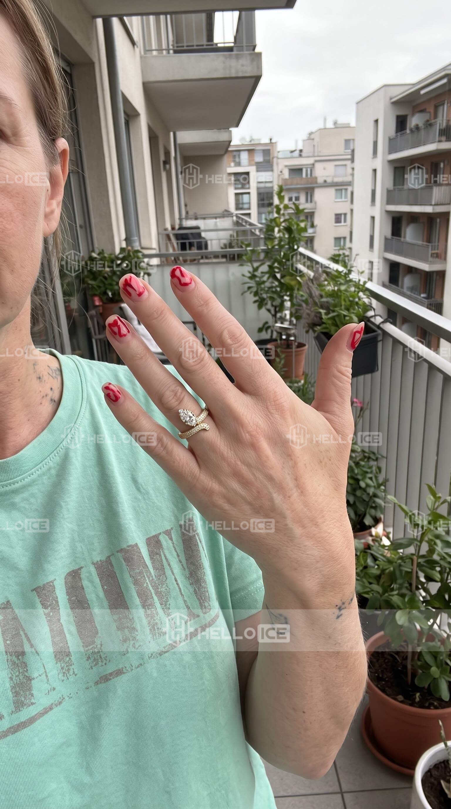 Helloice Review Image