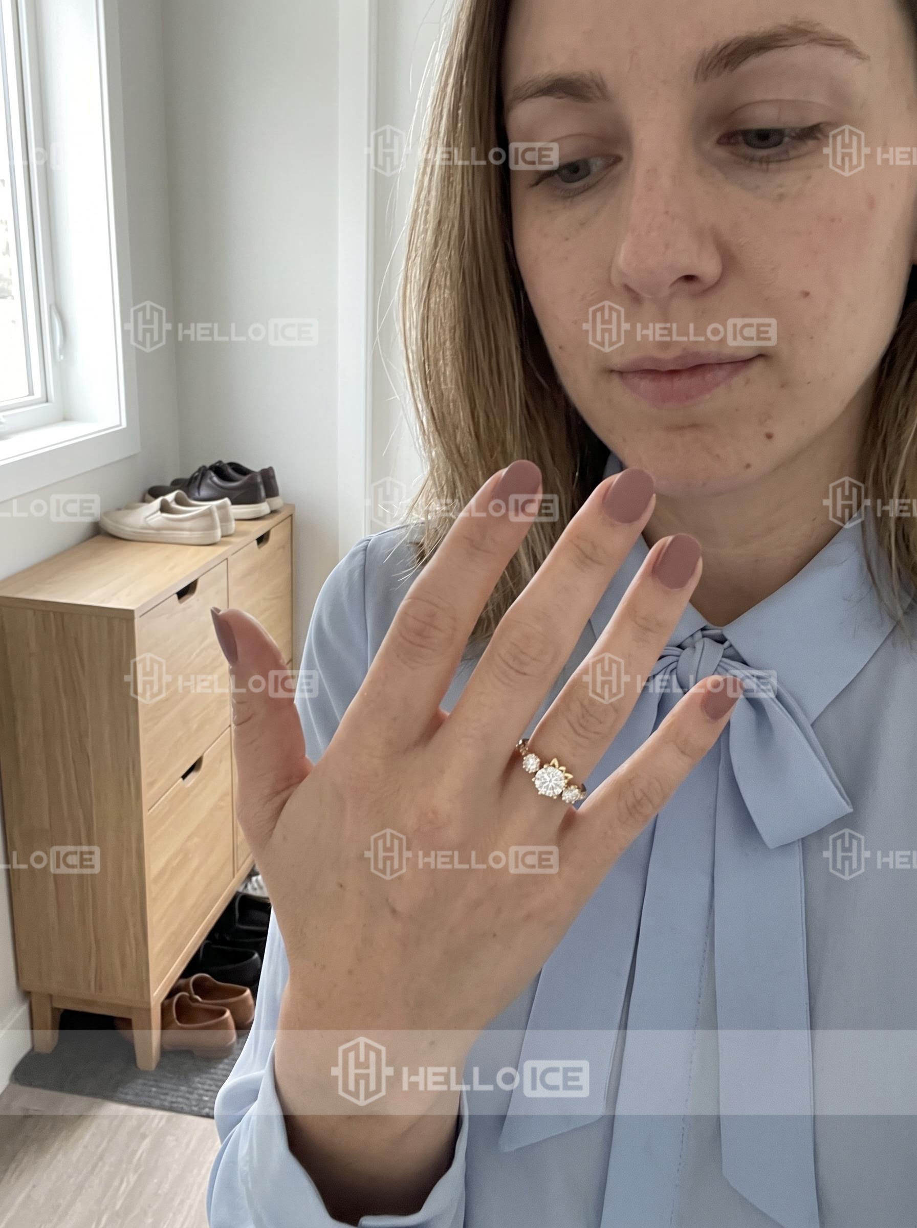 Helloice Review Image