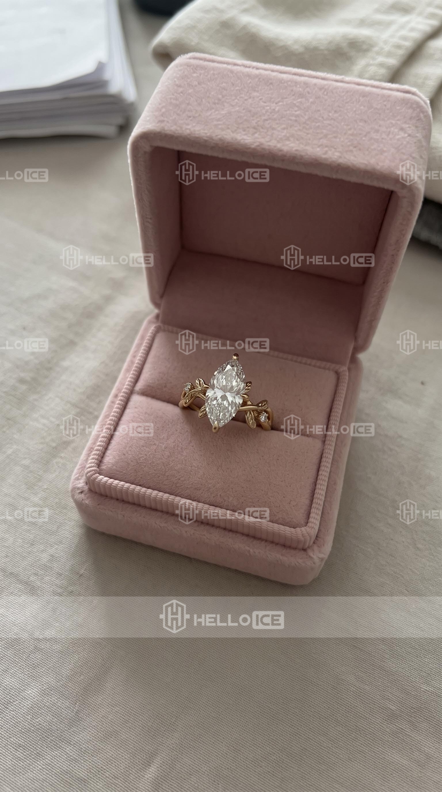 Helloice Review Image
