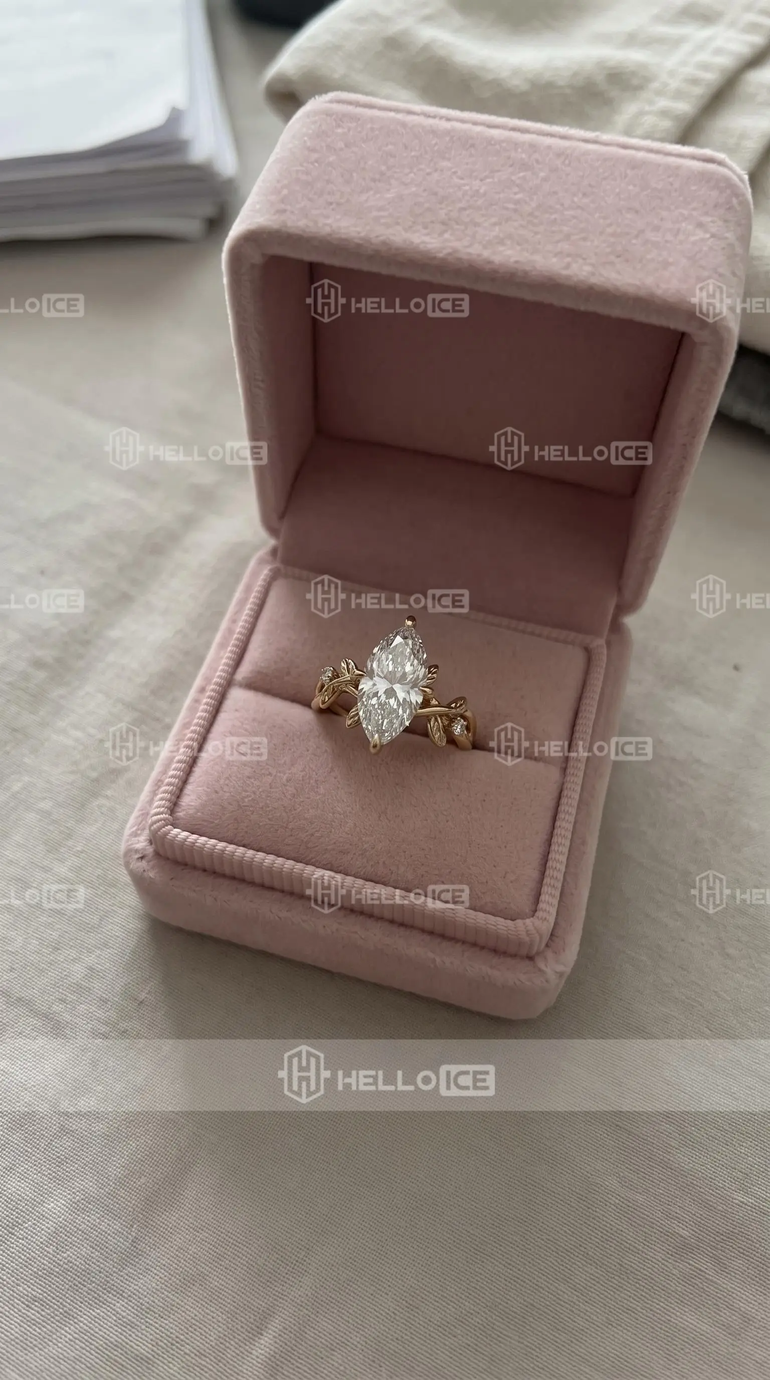 Helloice Review Image