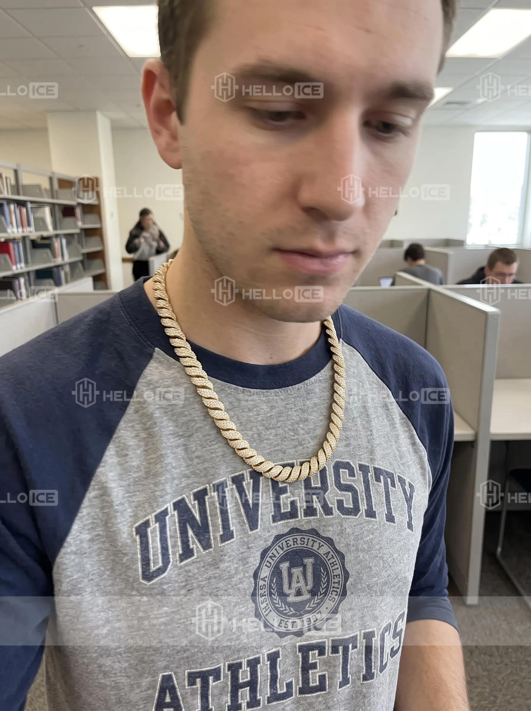 Helloice Review Image