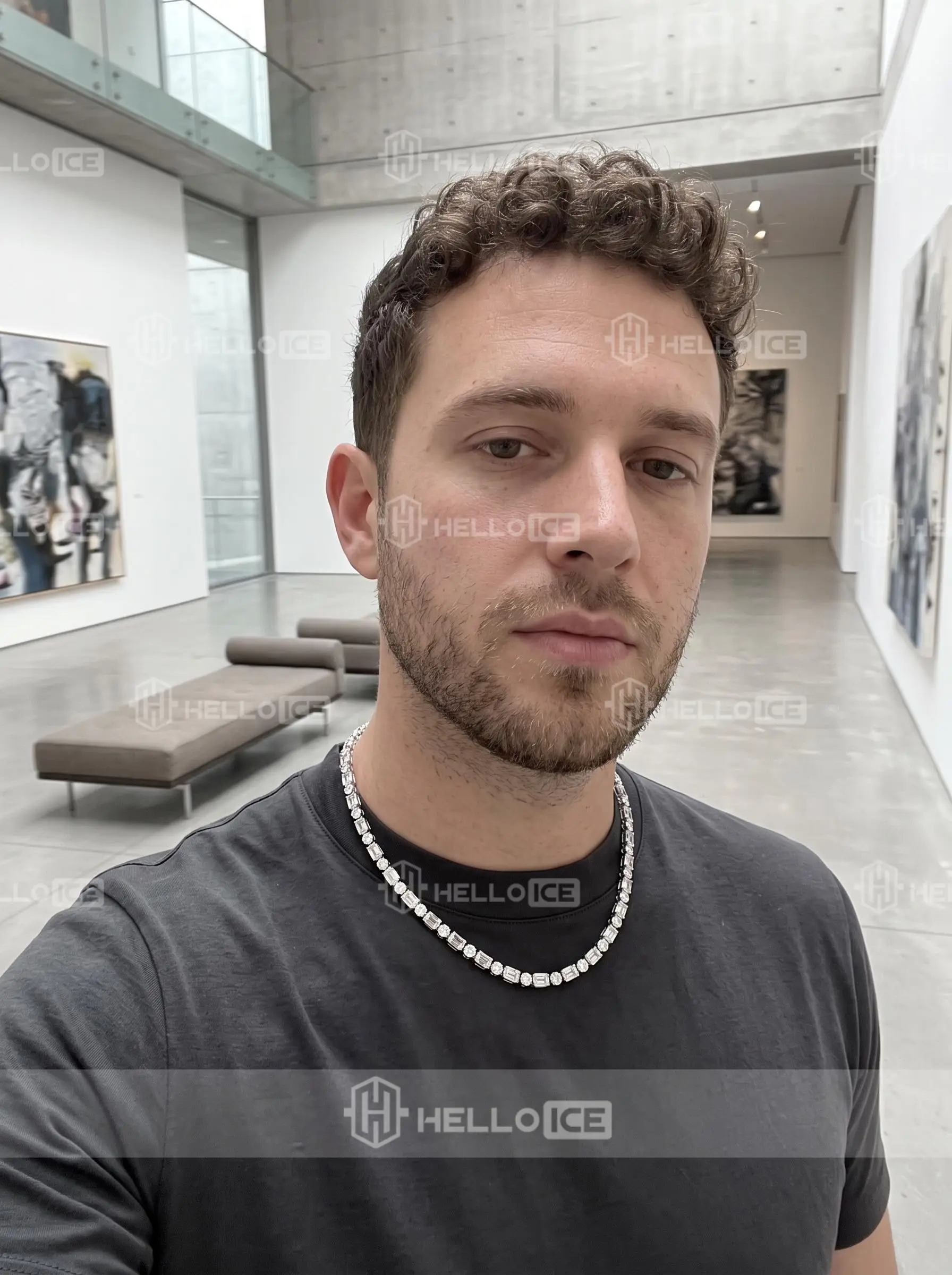 Helloice Review Image