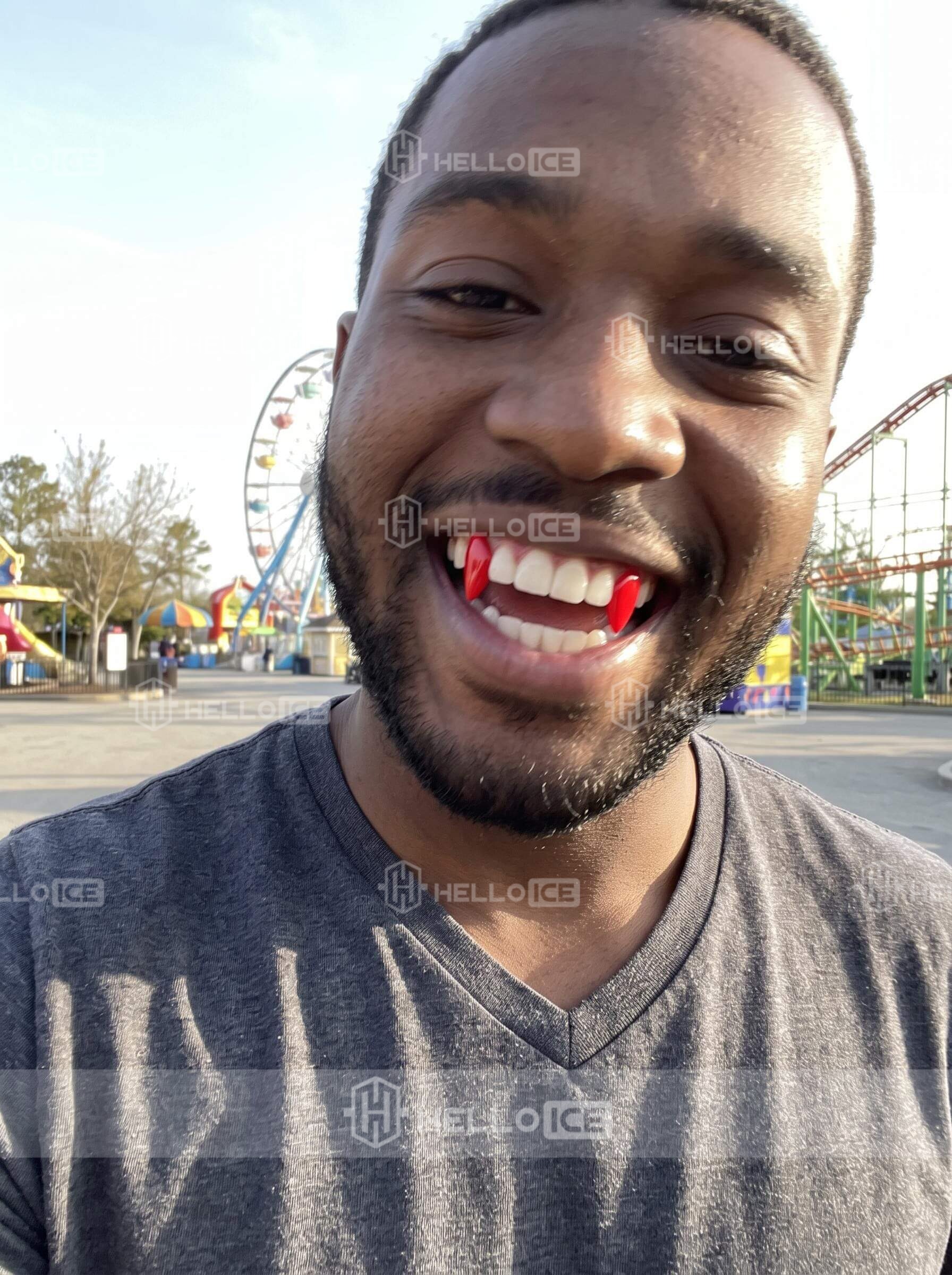 Helloice Review Image
