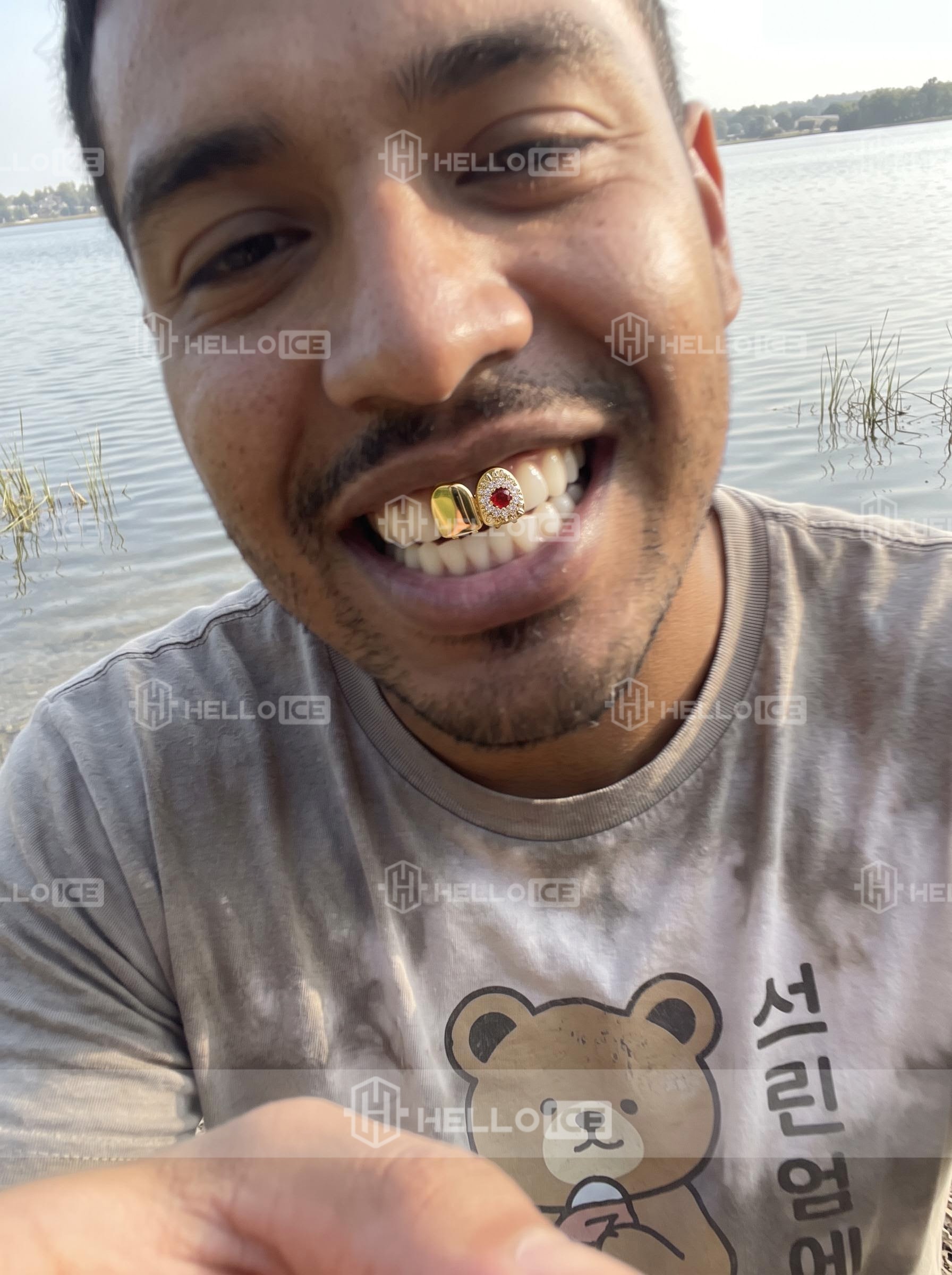 Helloice Review Image