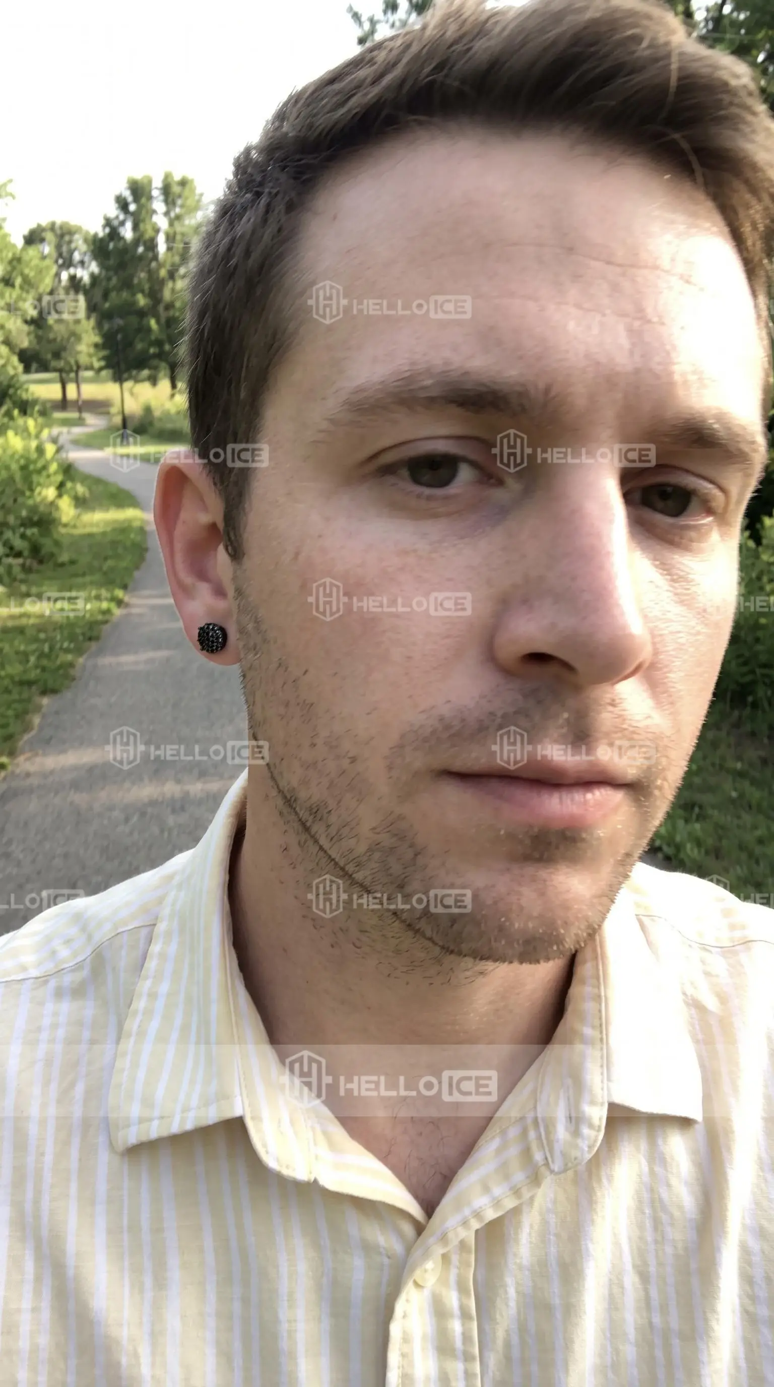 Helloice Review Image