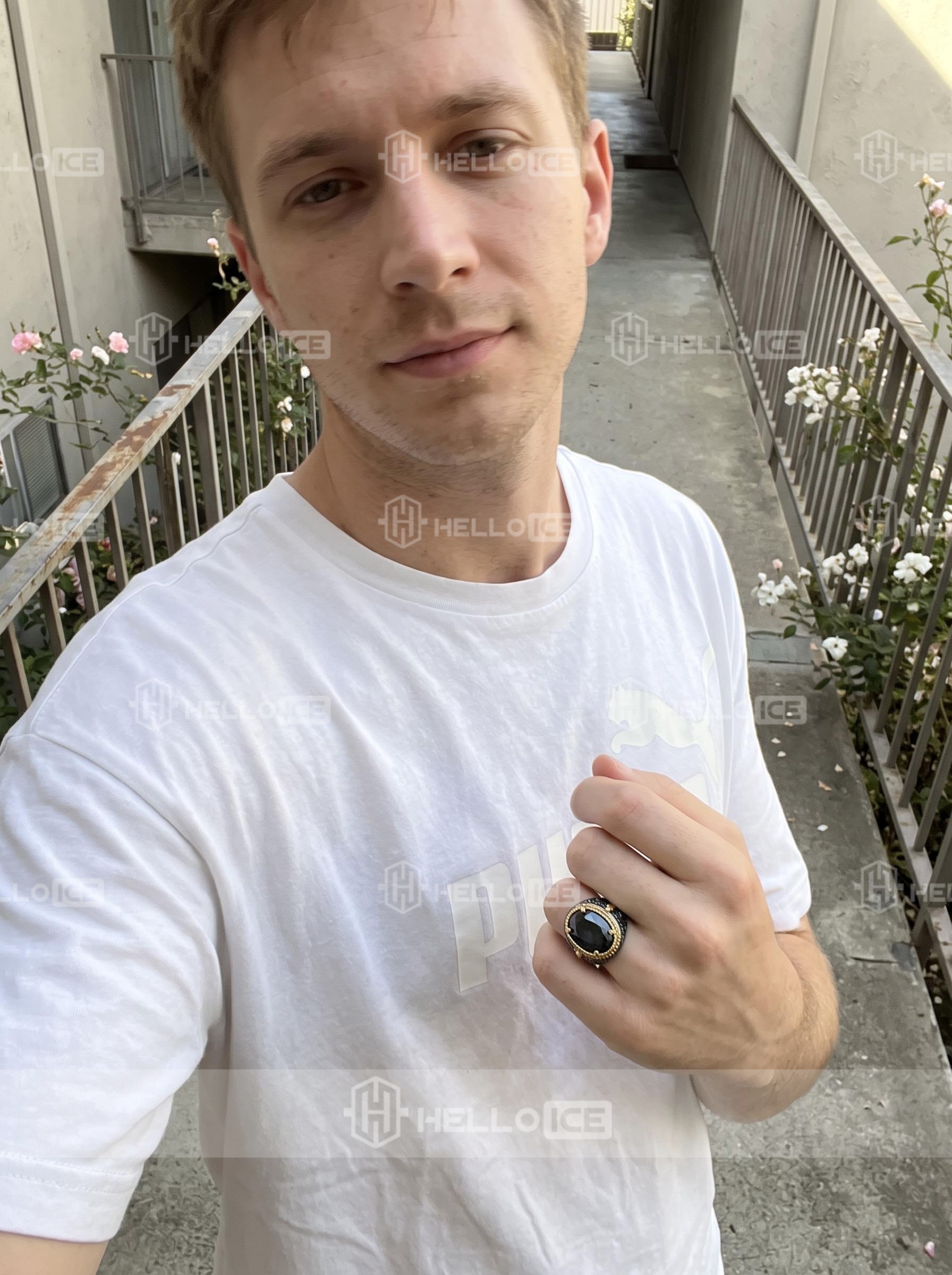 Helloice Review Image