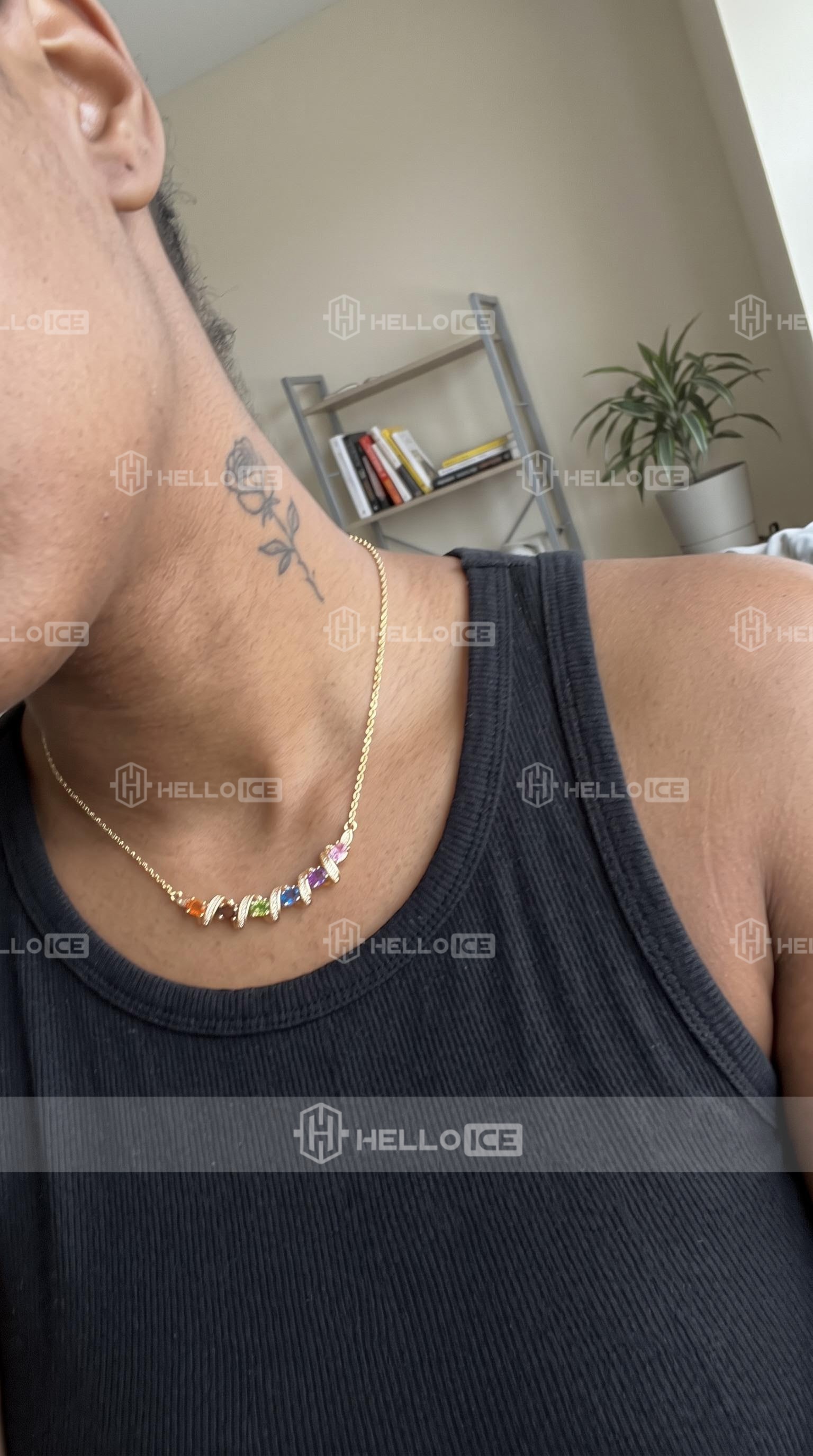 Helloice Review Image