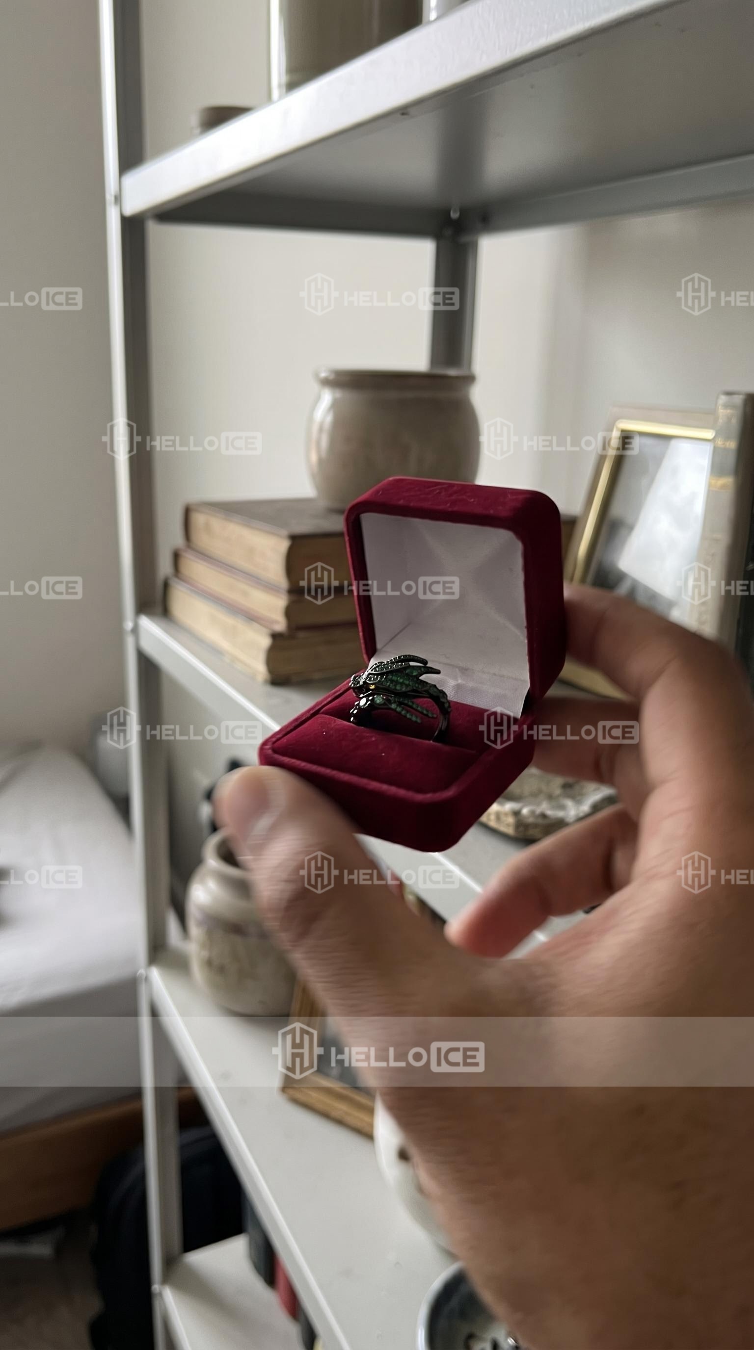 Helloice Review Image
