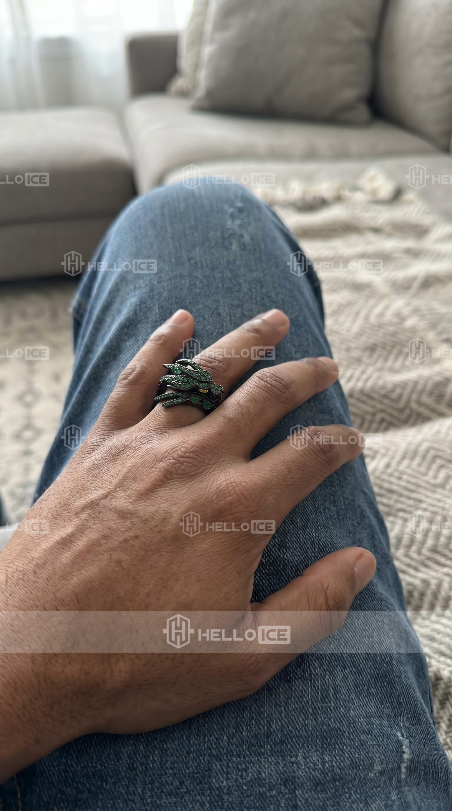 Helloice Review Image