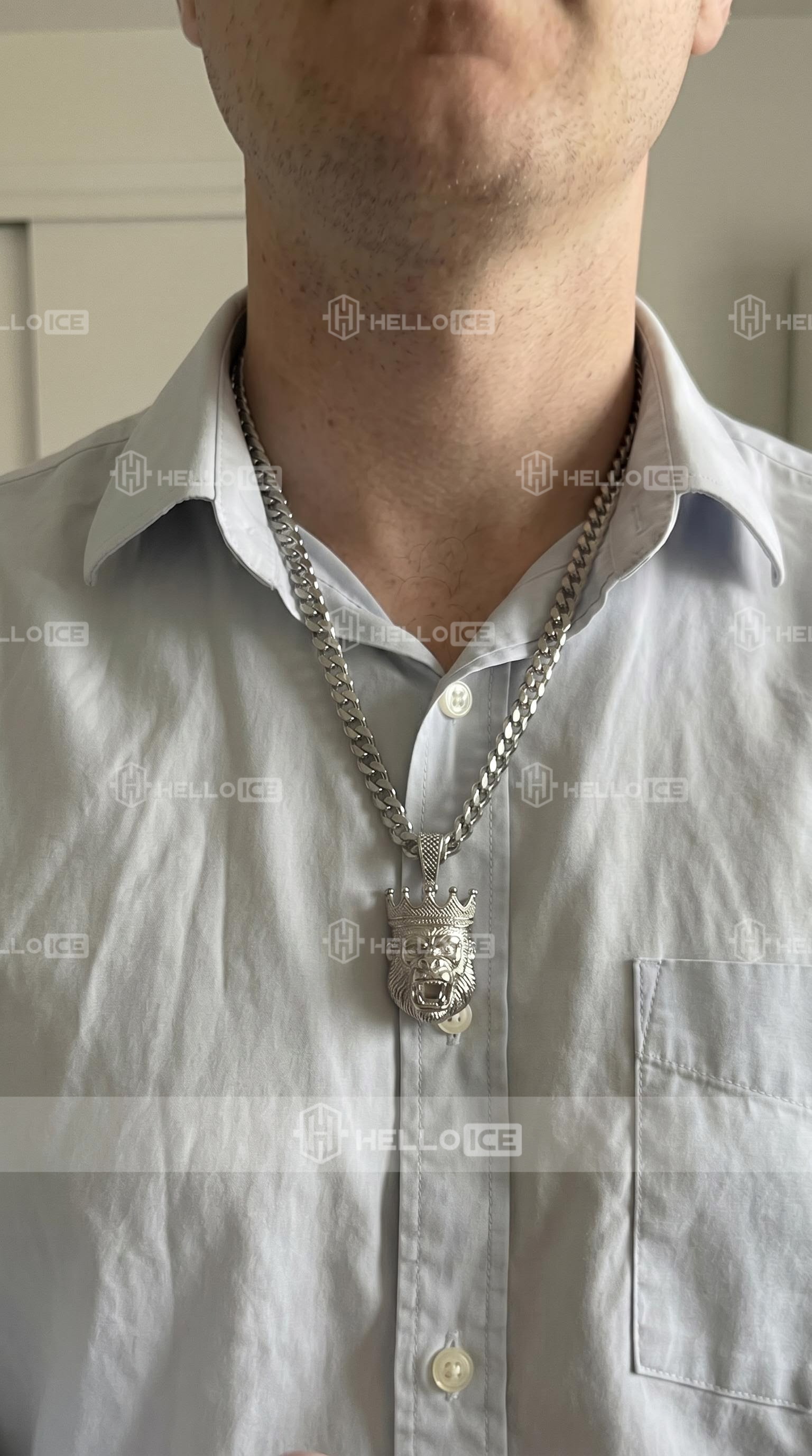Helloice Review Image