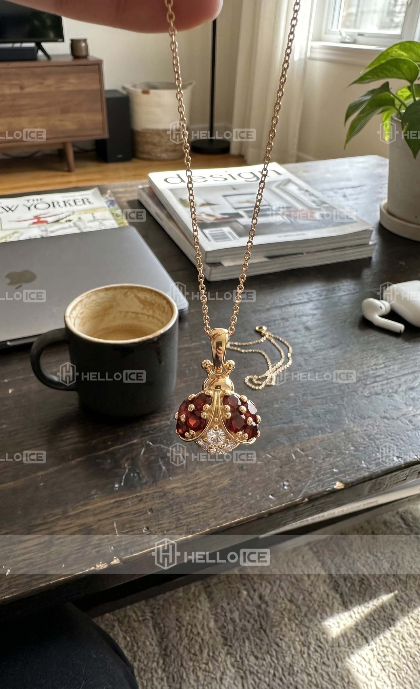 Helloice Review Image