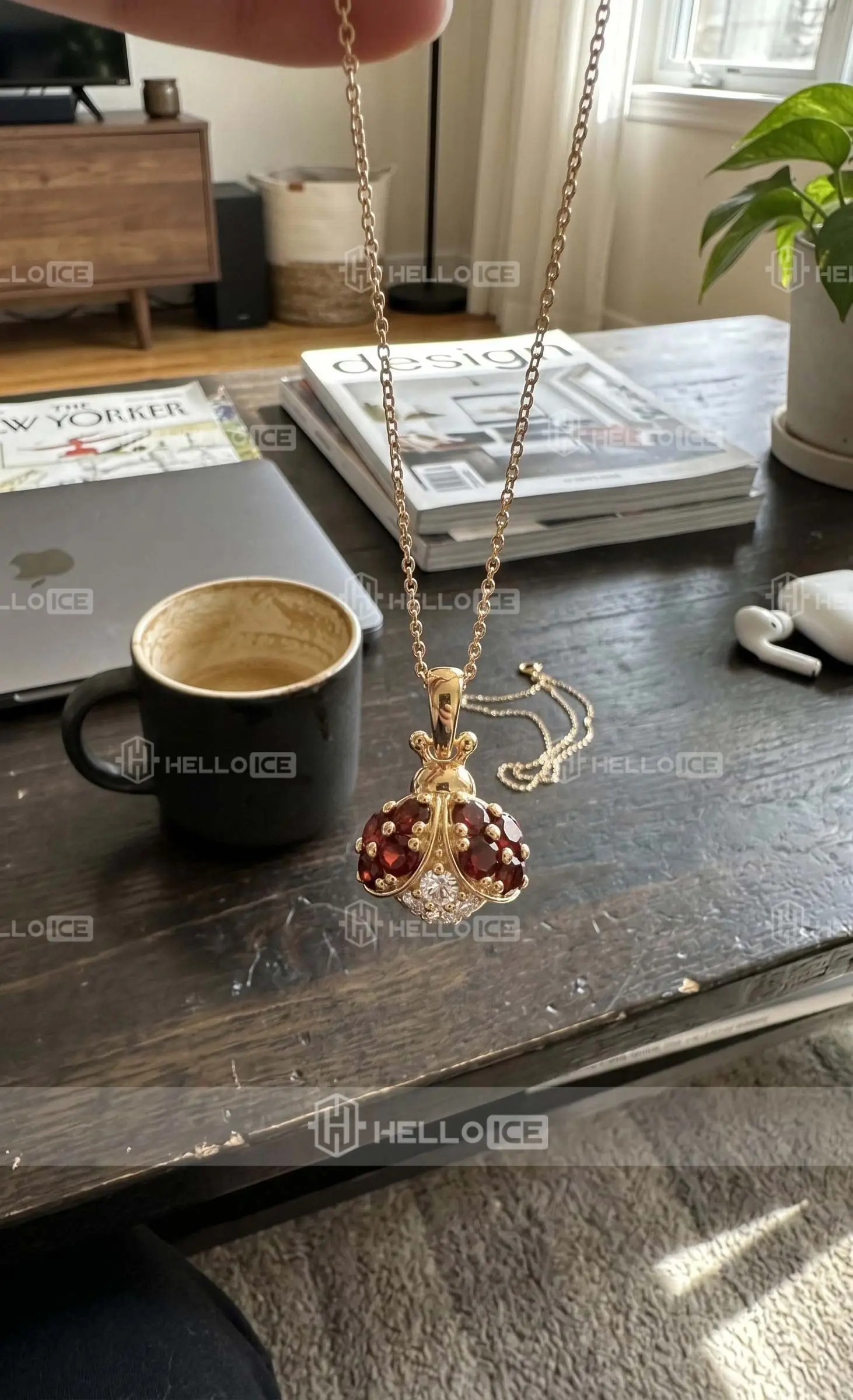 Helloice Review Image