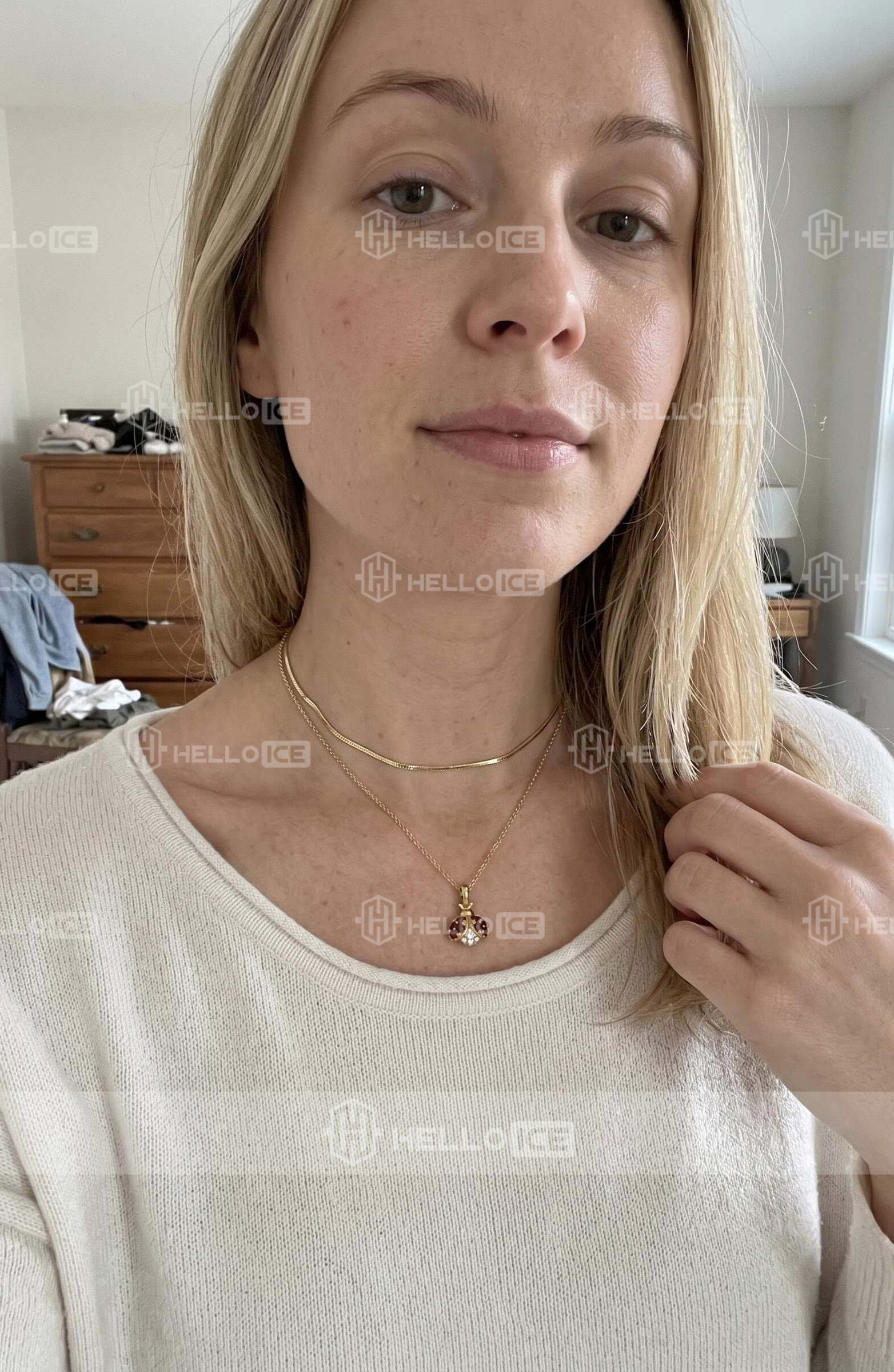 Helloice Review Image