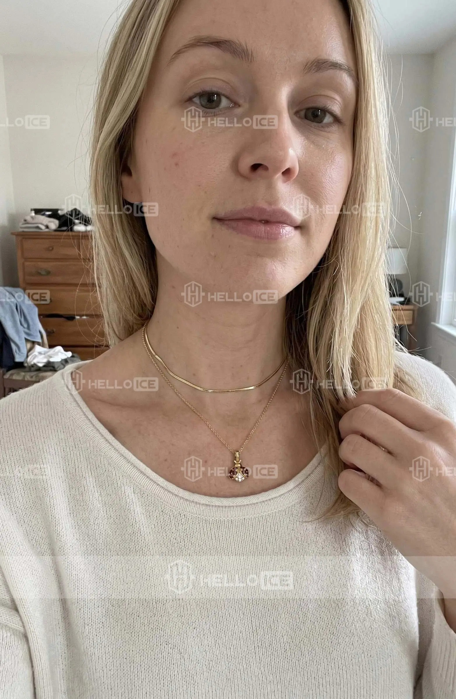 Helloice Review Image