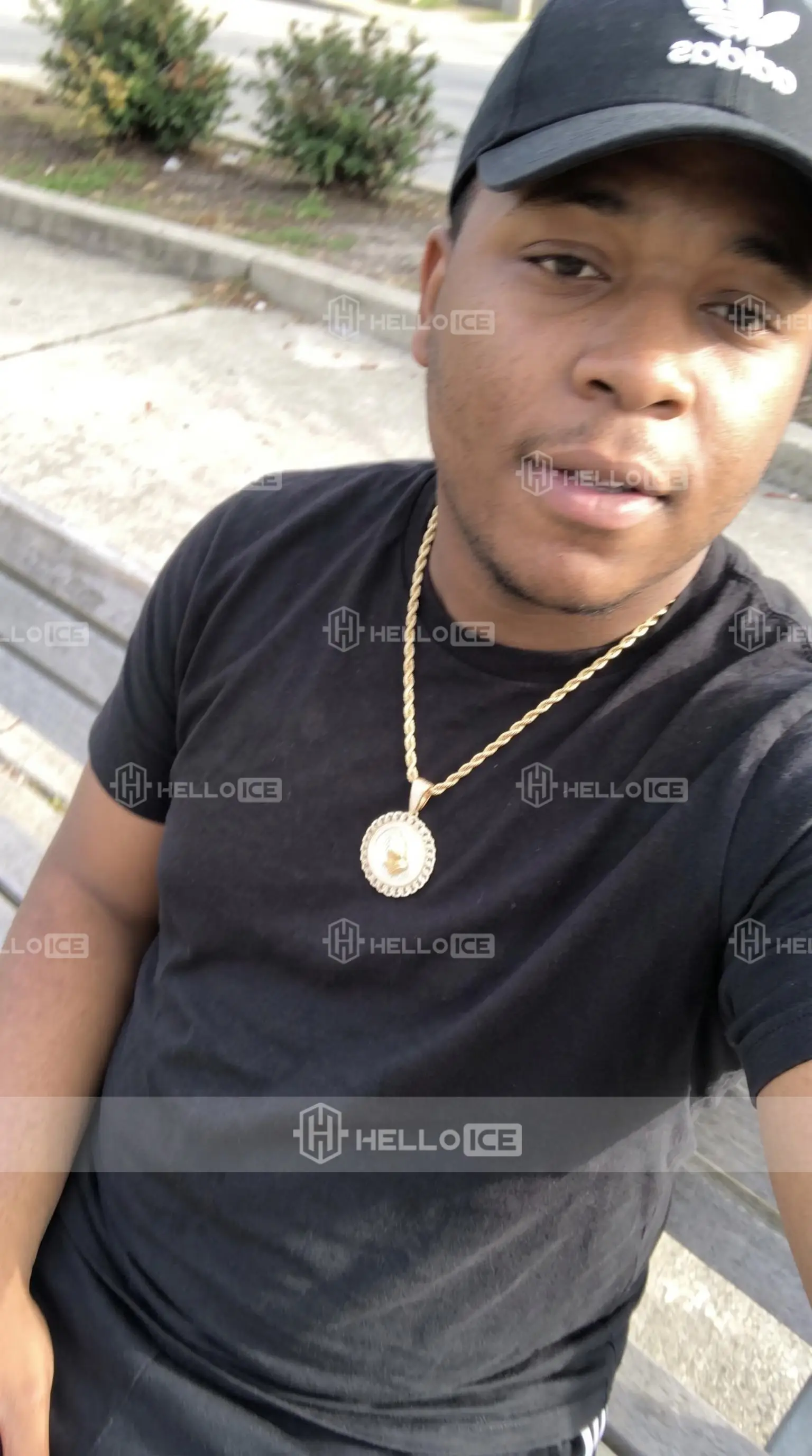 Helloice Review Image