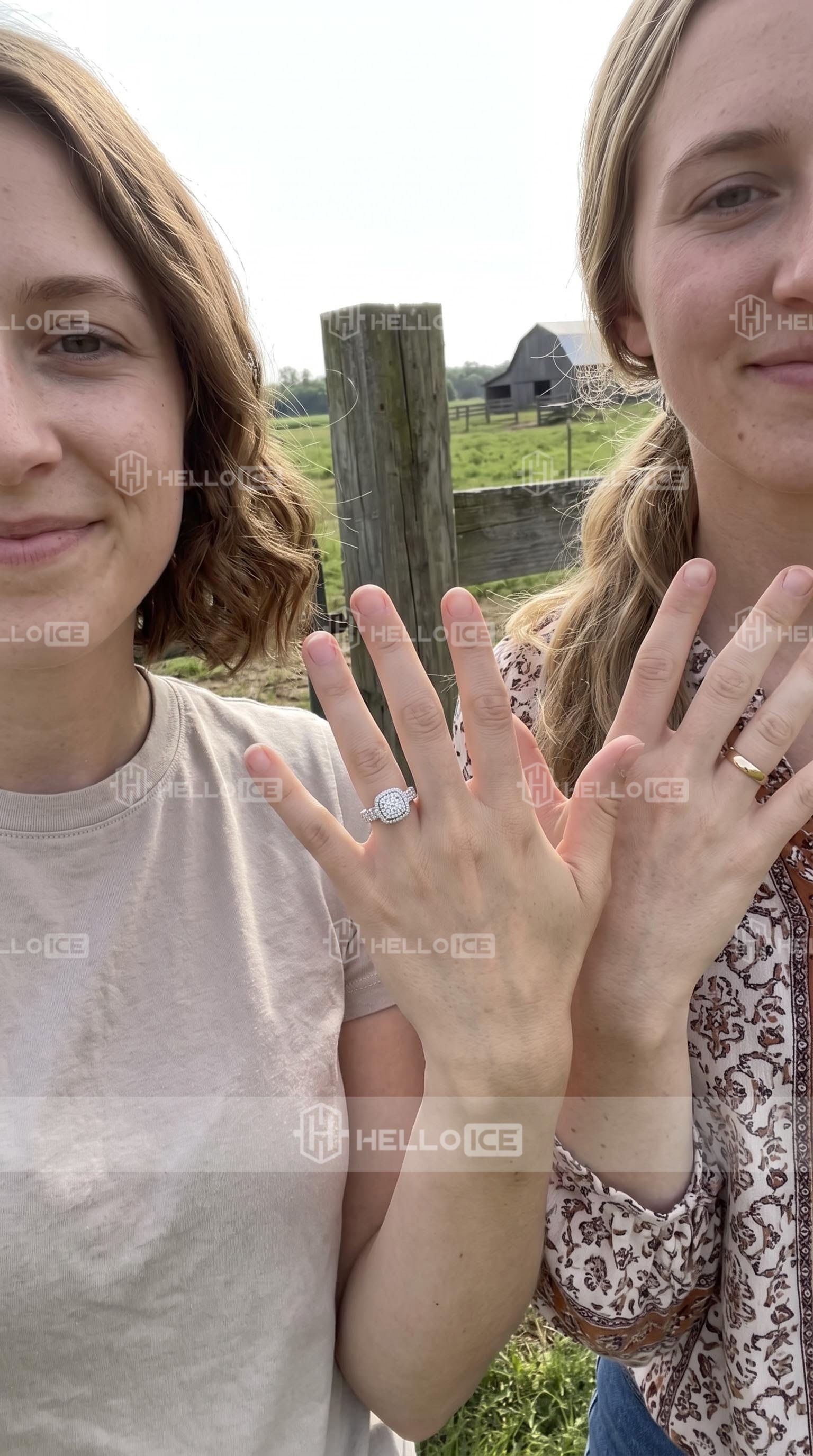 Helloice Review Image