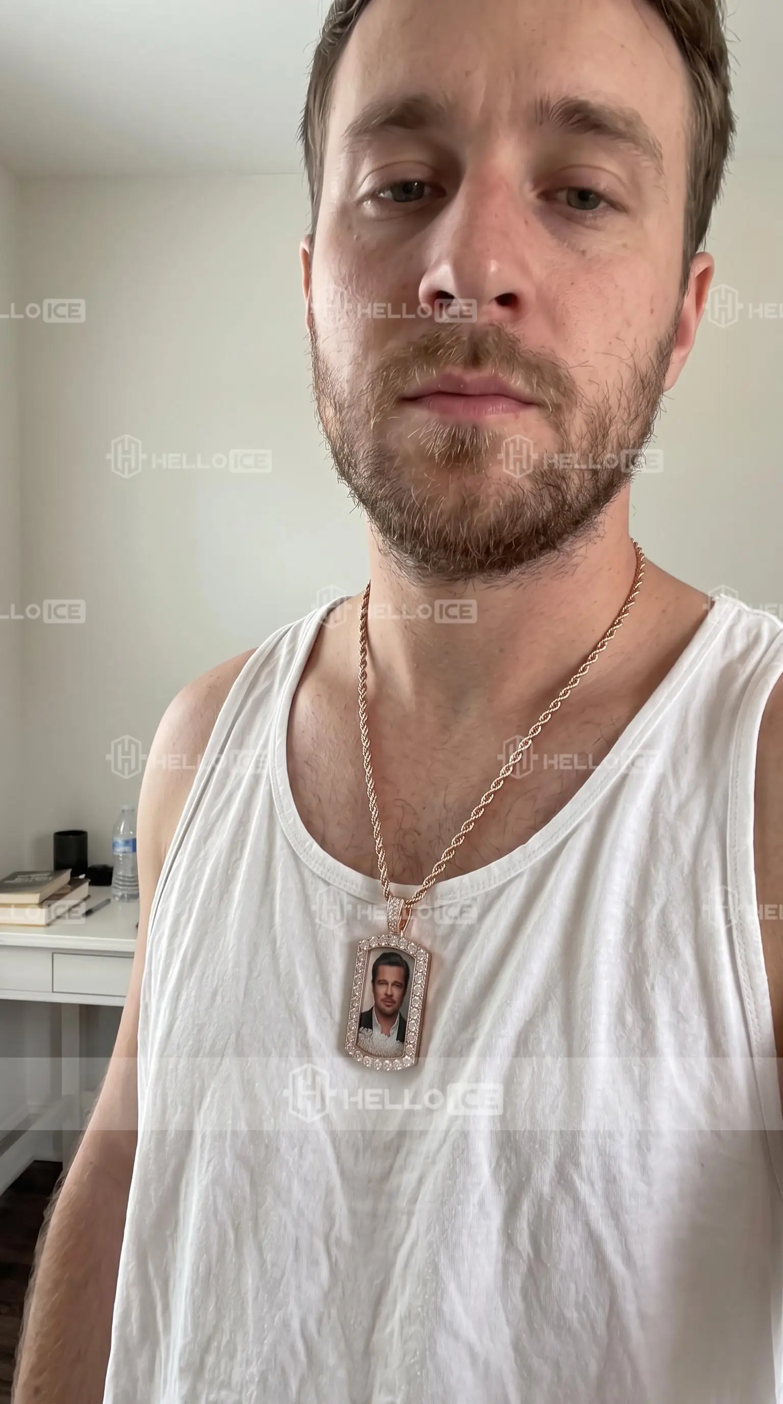 Helloice Review Image