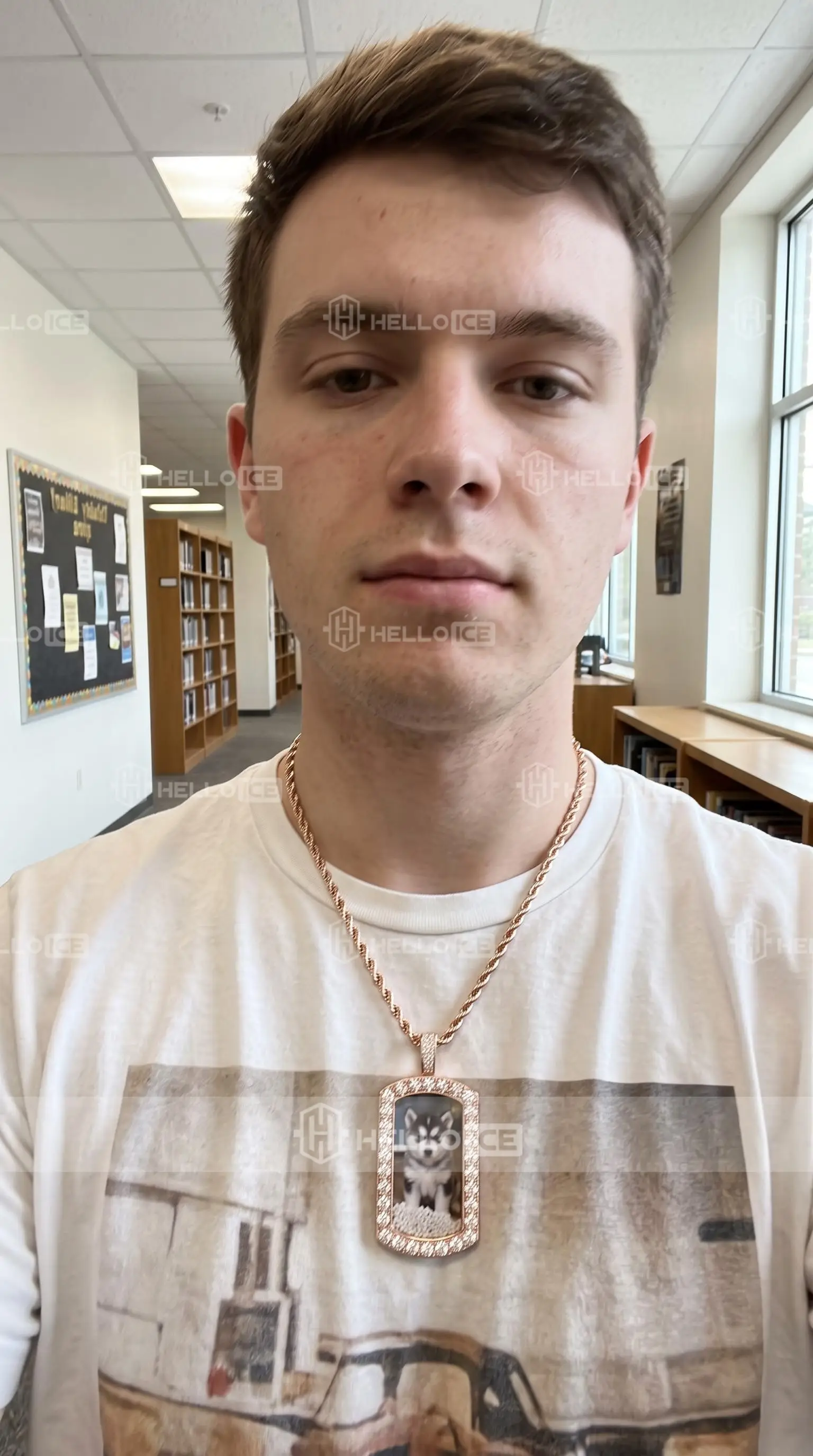 Helloice Review Image