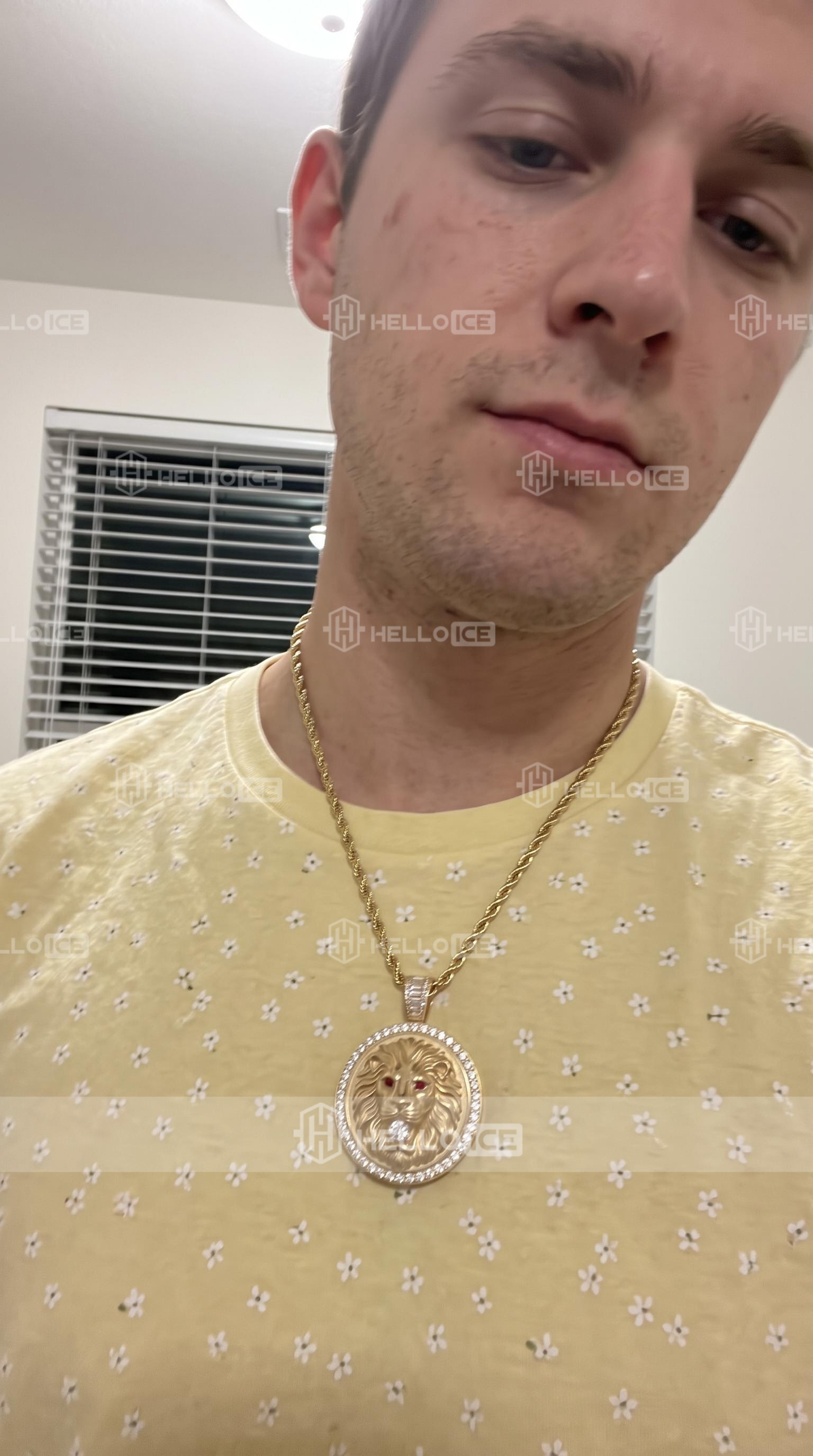 Helloice Review Image