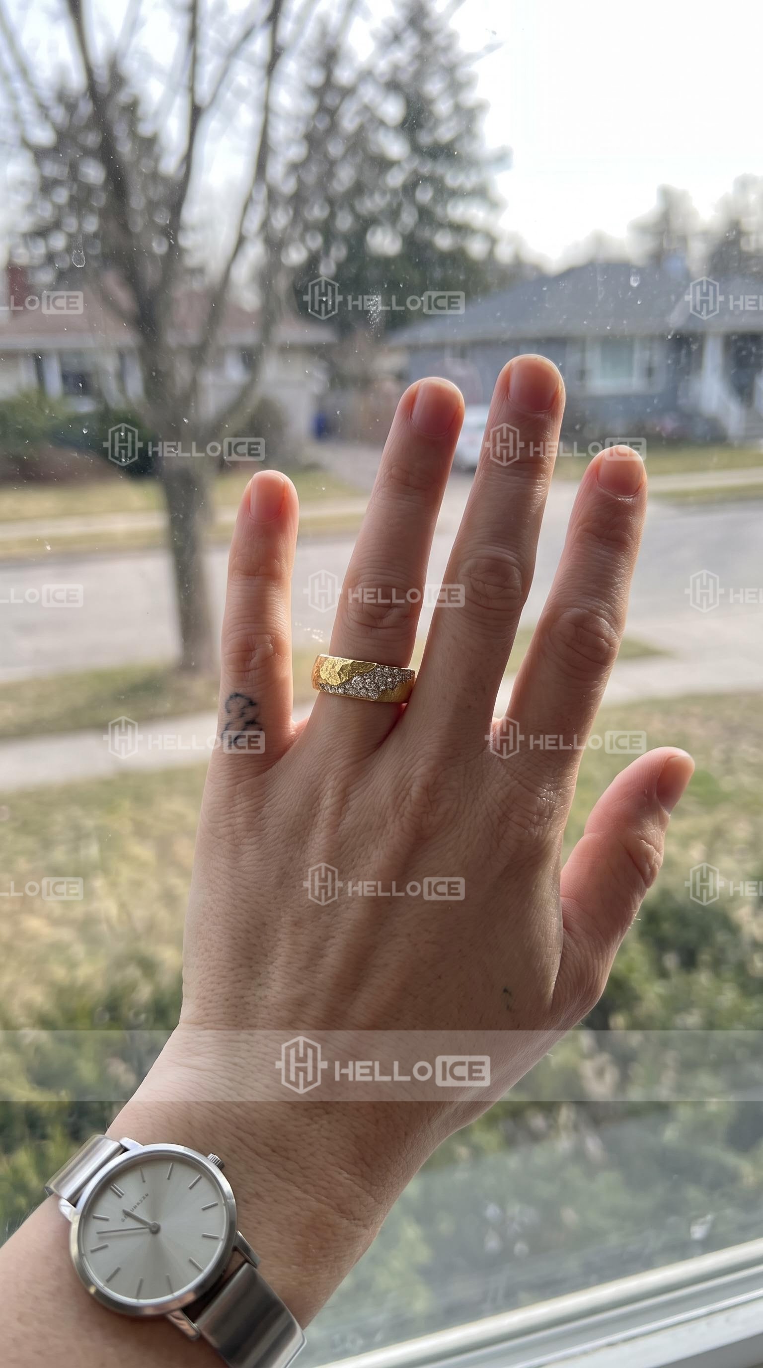 Helloice Review Image