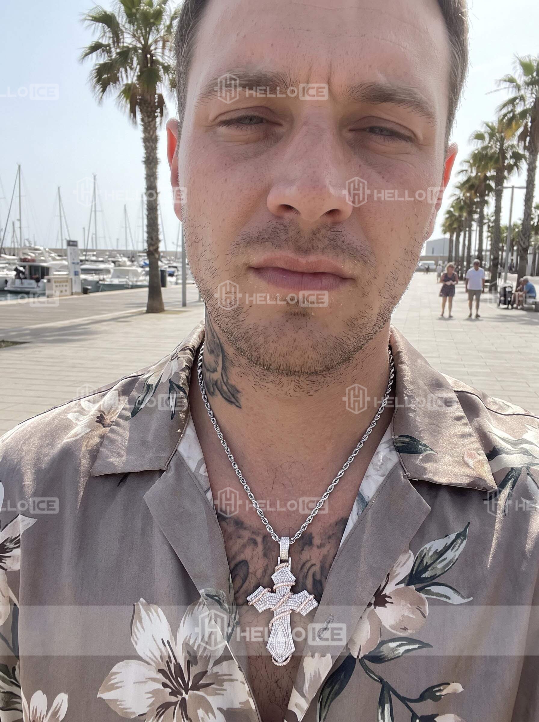 Helloice Review Image