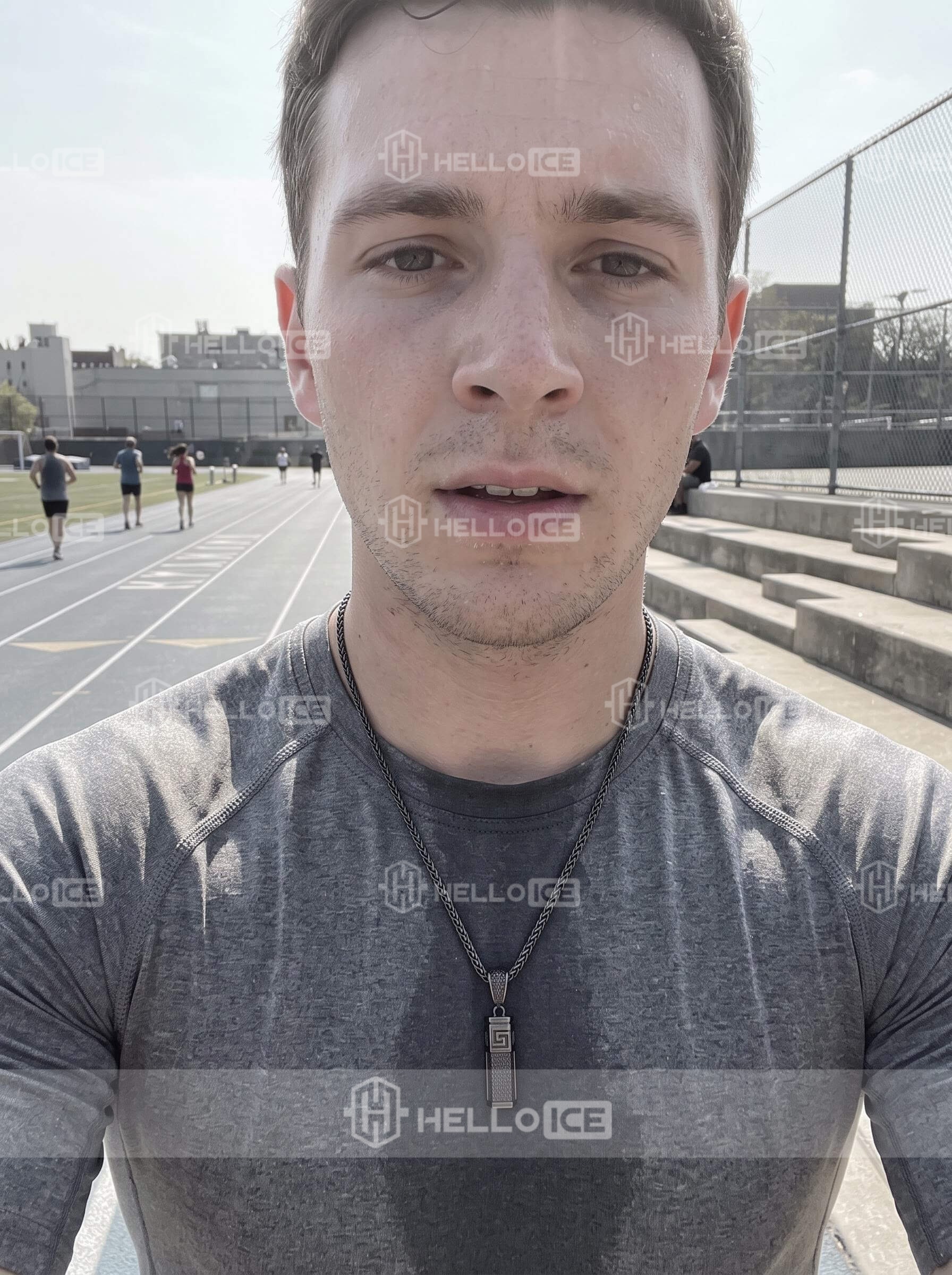 Helloice Review Image