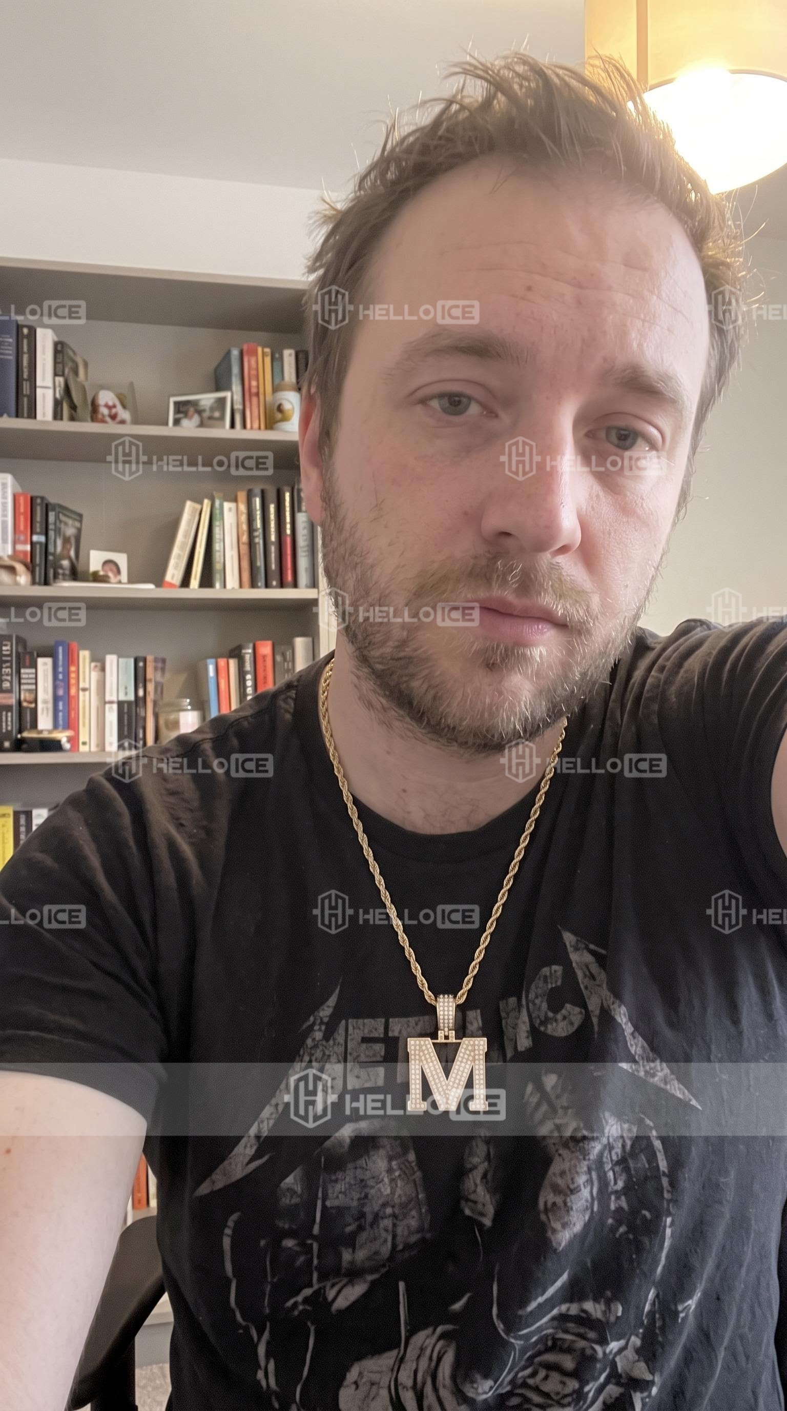 Helloice Review Image