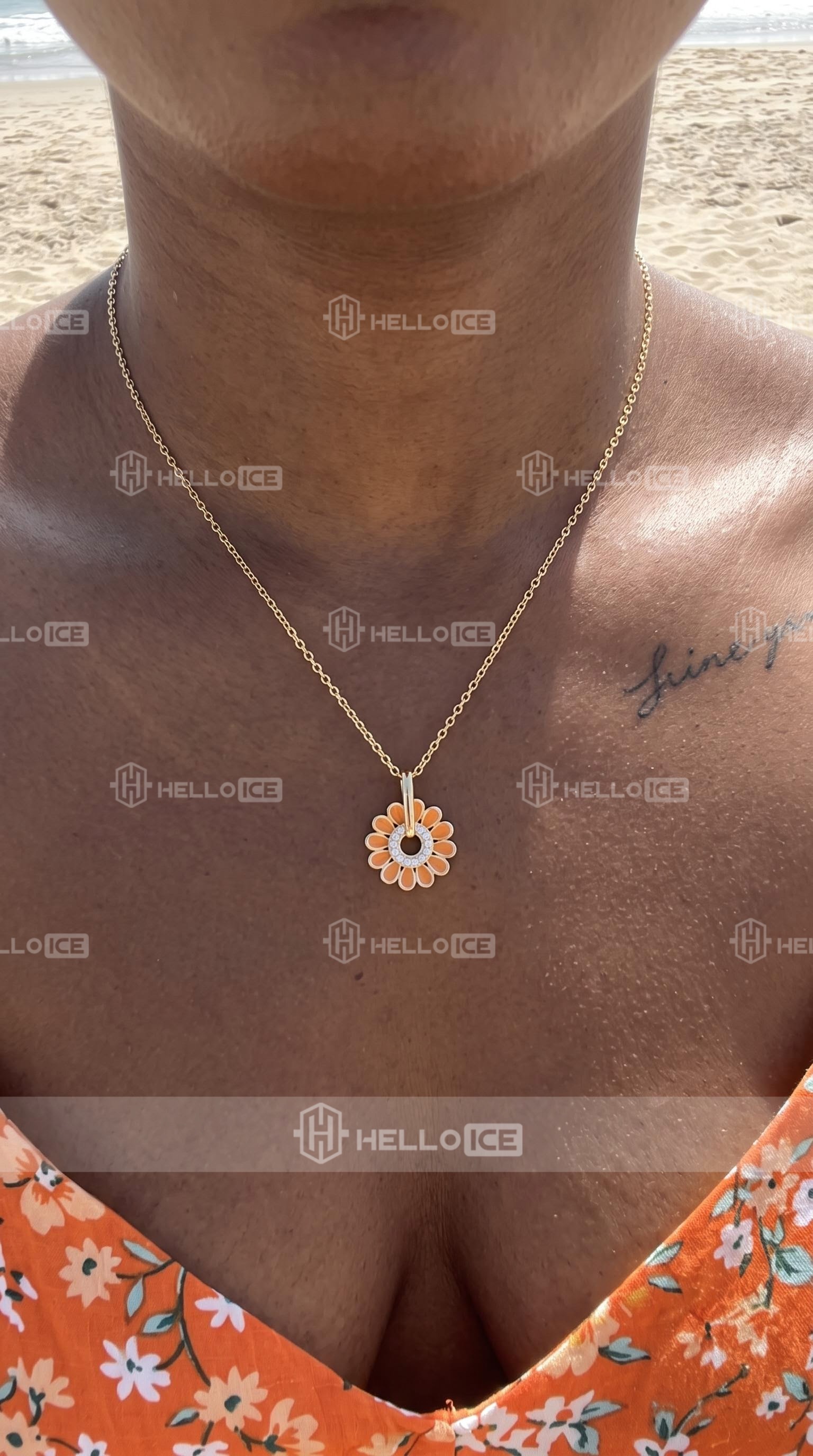 Helloice Review Image