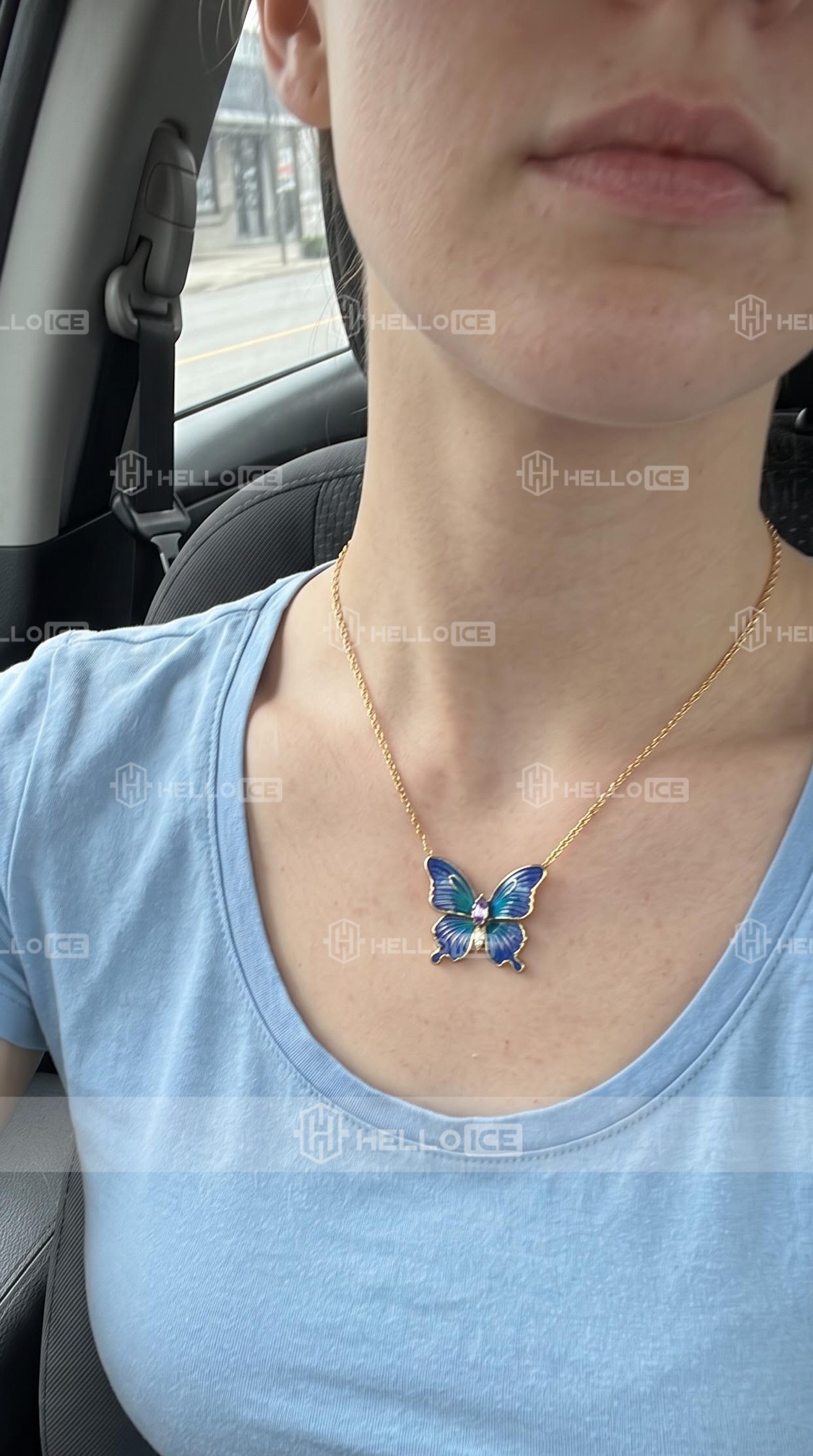 Helloice Review Image
