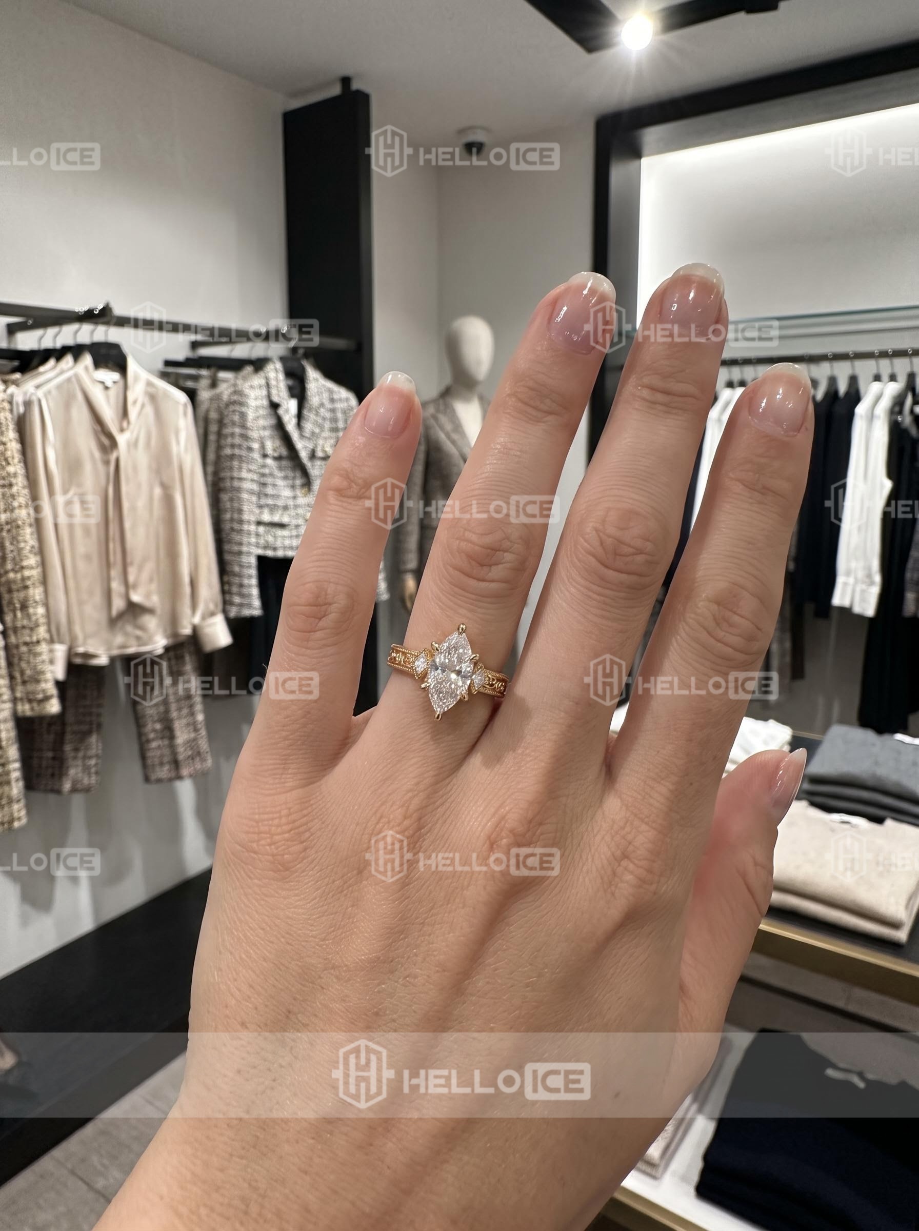 Helloice Review Image