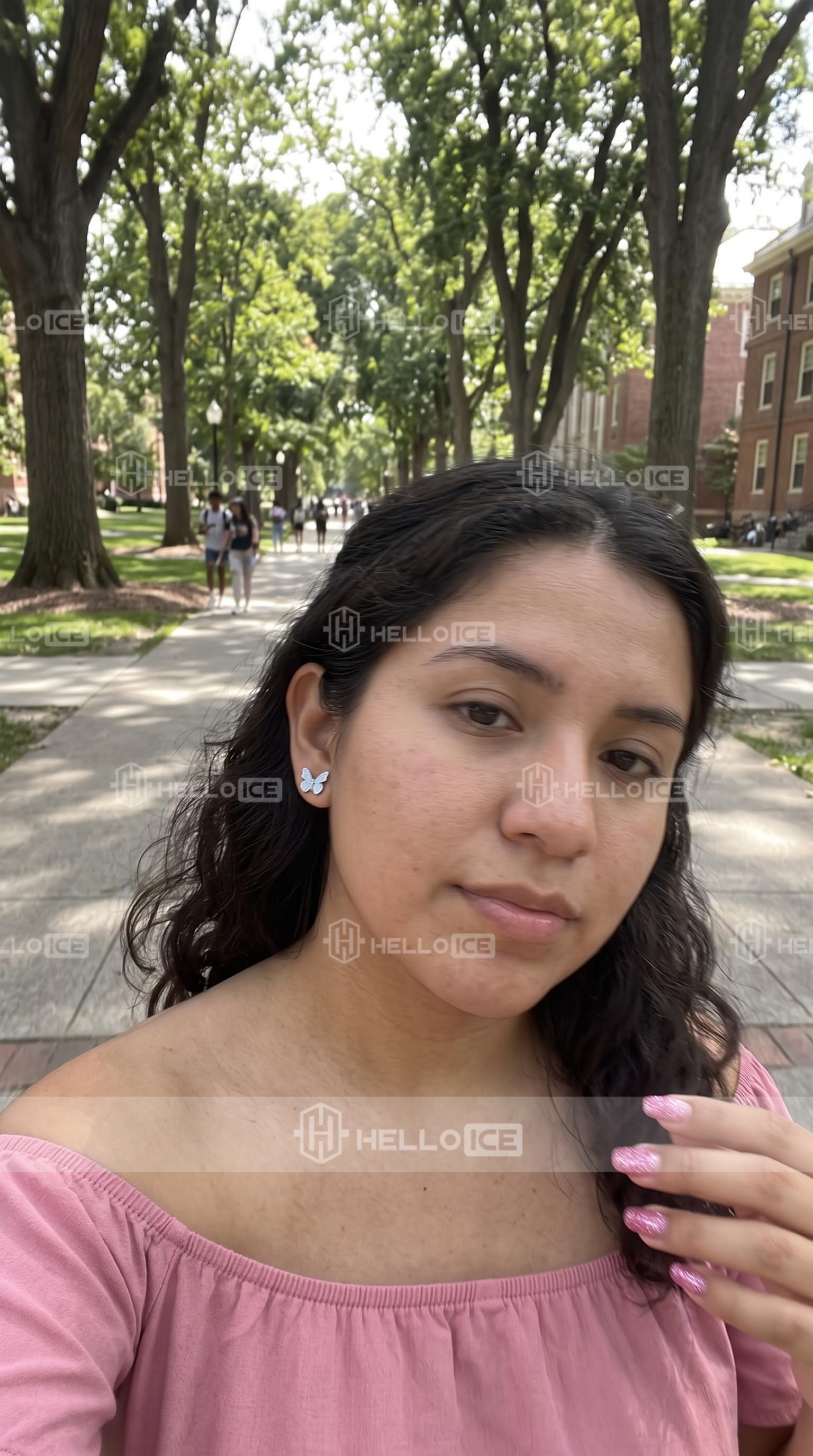 Helloice Review Image