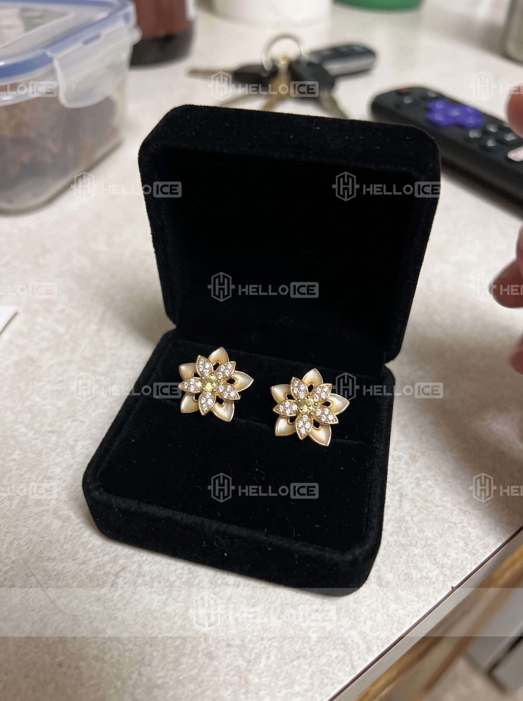 Helloice Review Image