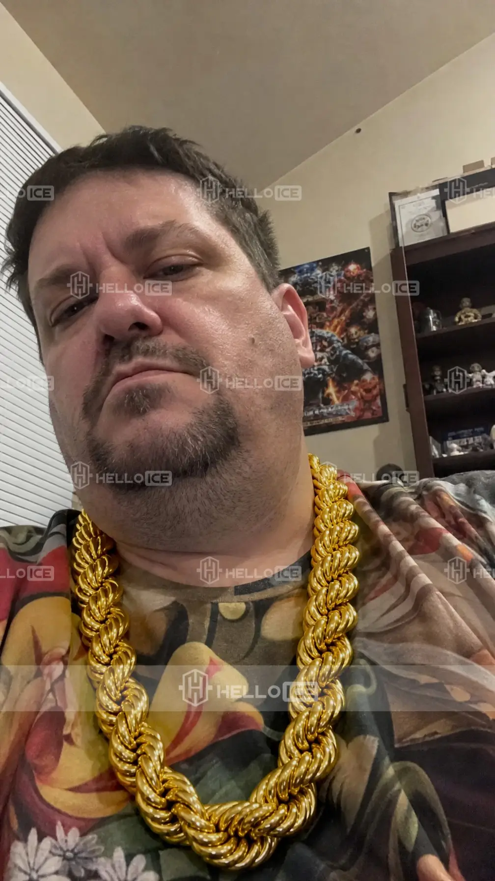 Helloice Review Image