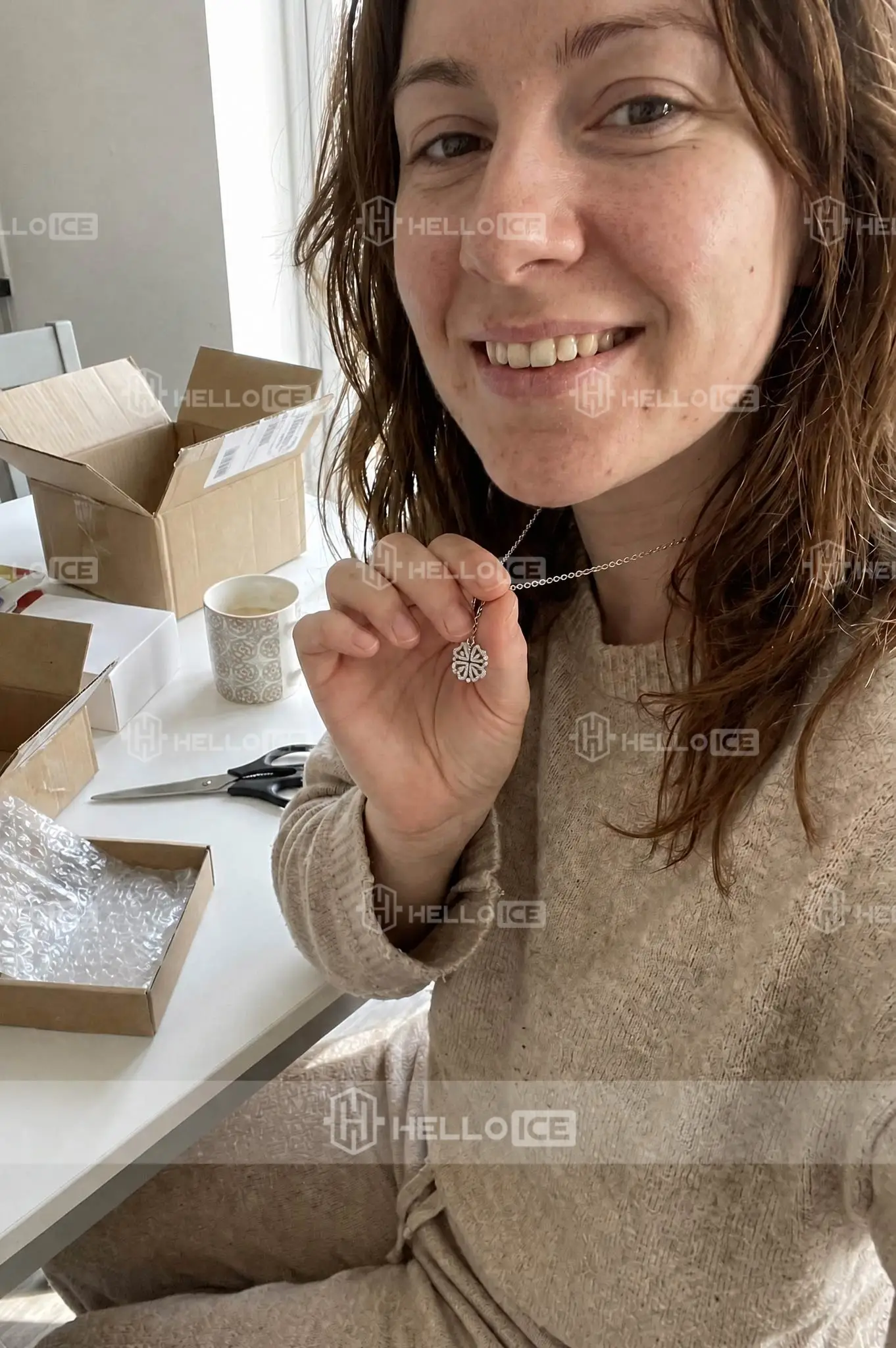 Helloice Review Image