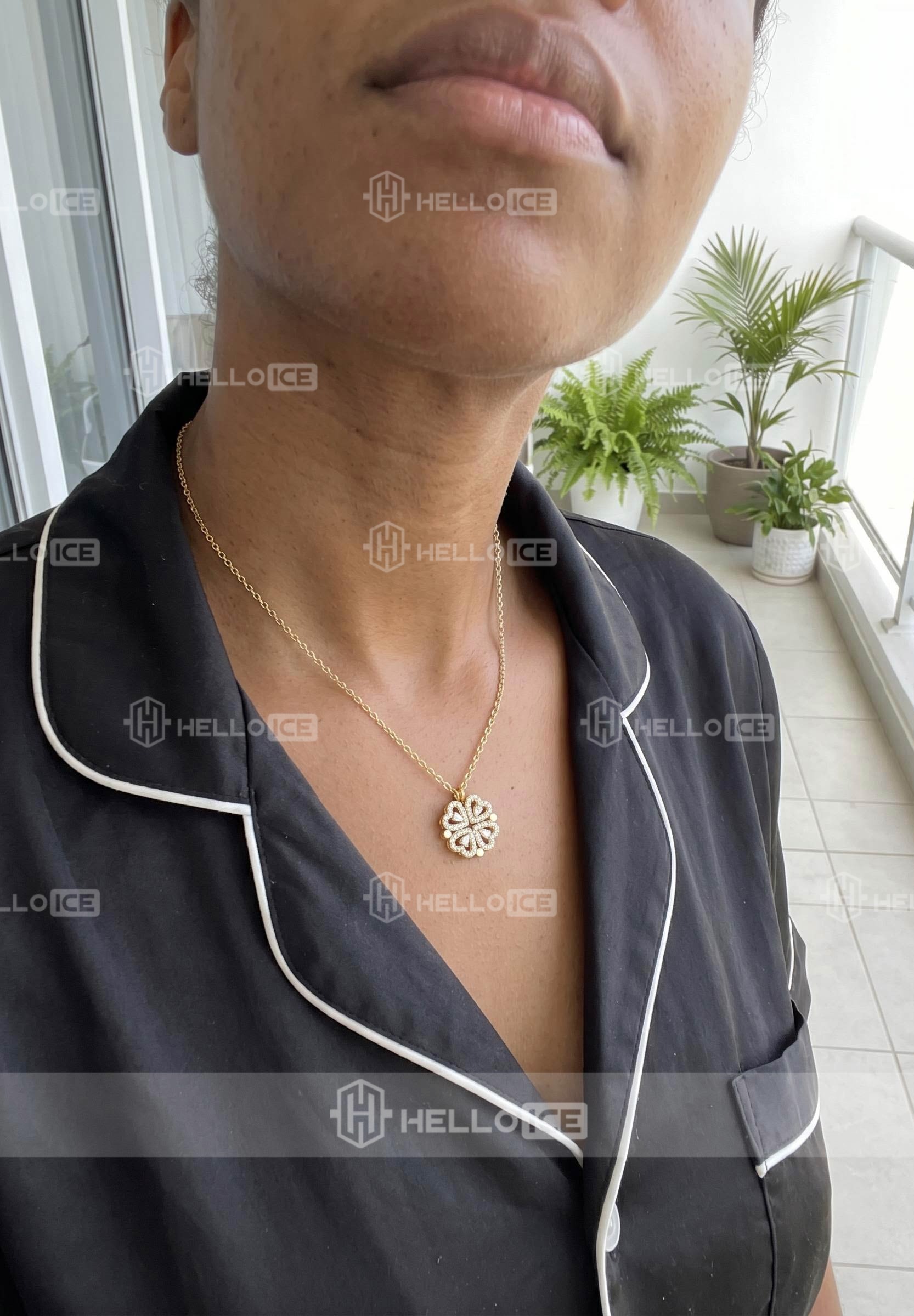 Helloice Review Image