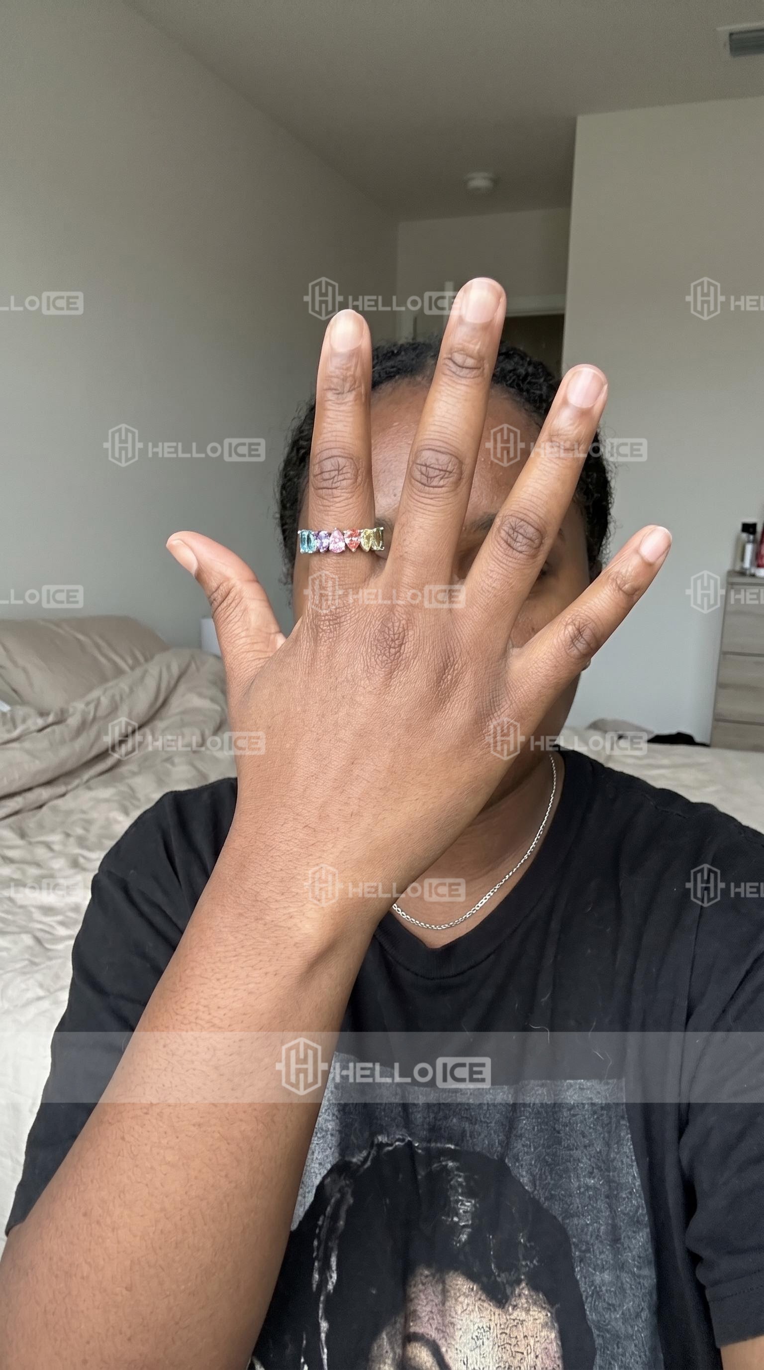 Helloice Review Image