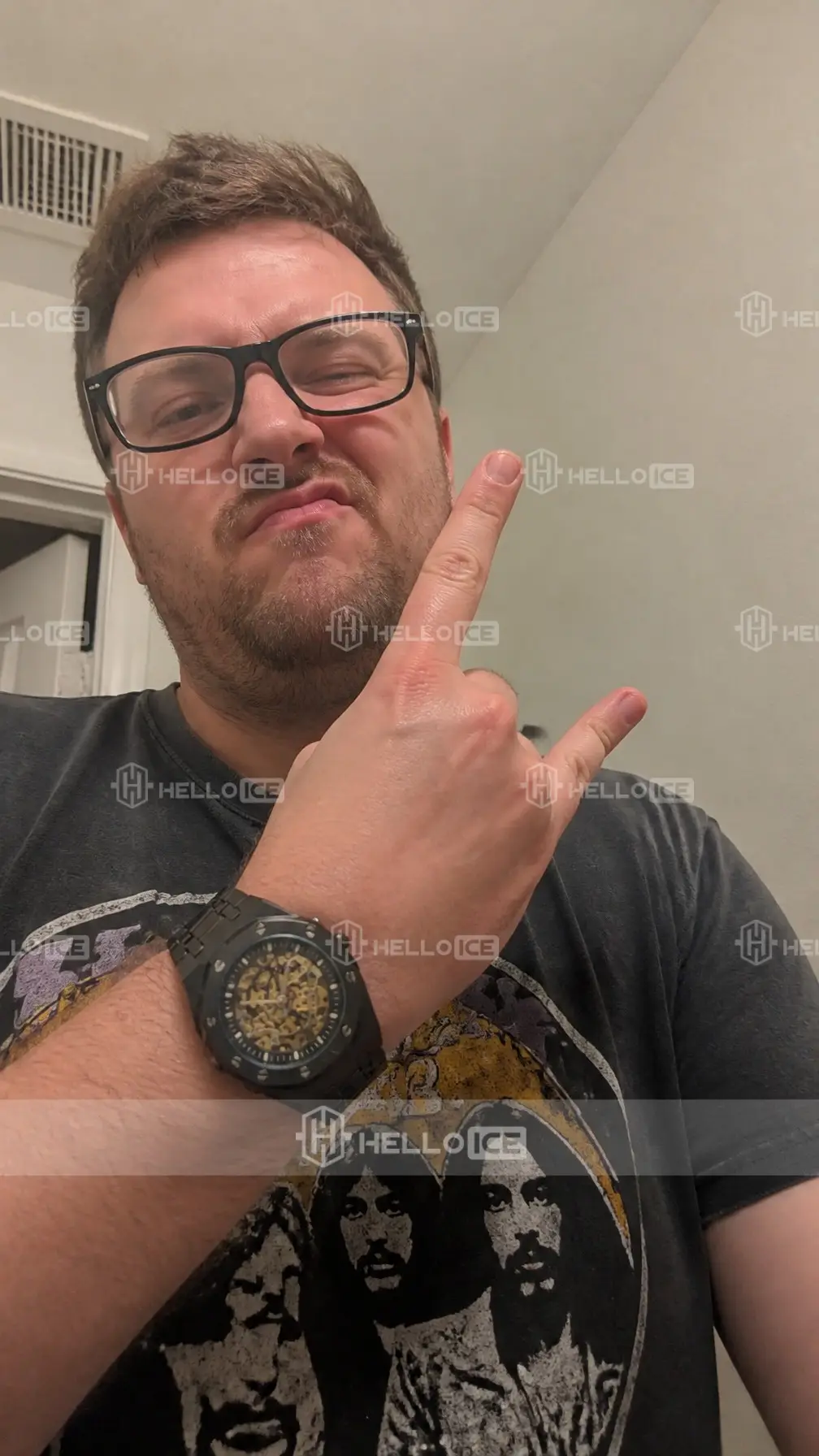 Helloice Review Image