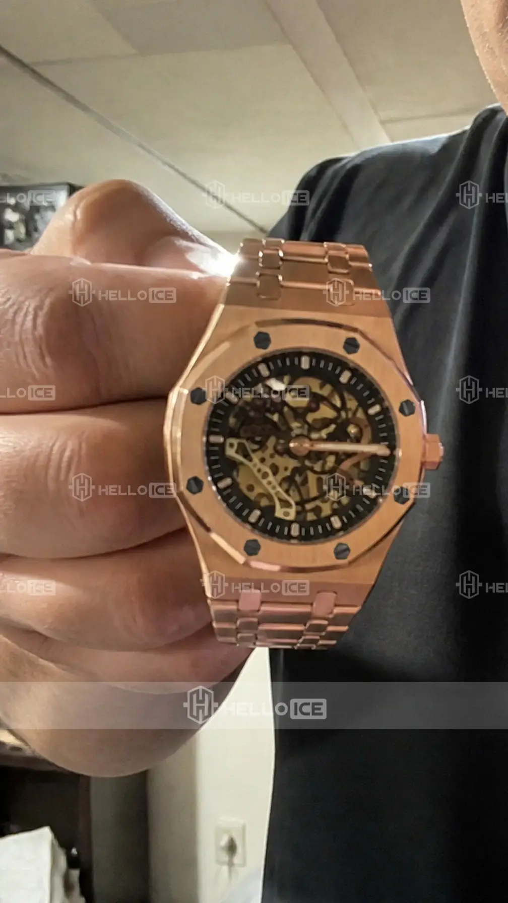 Helloice Review Image