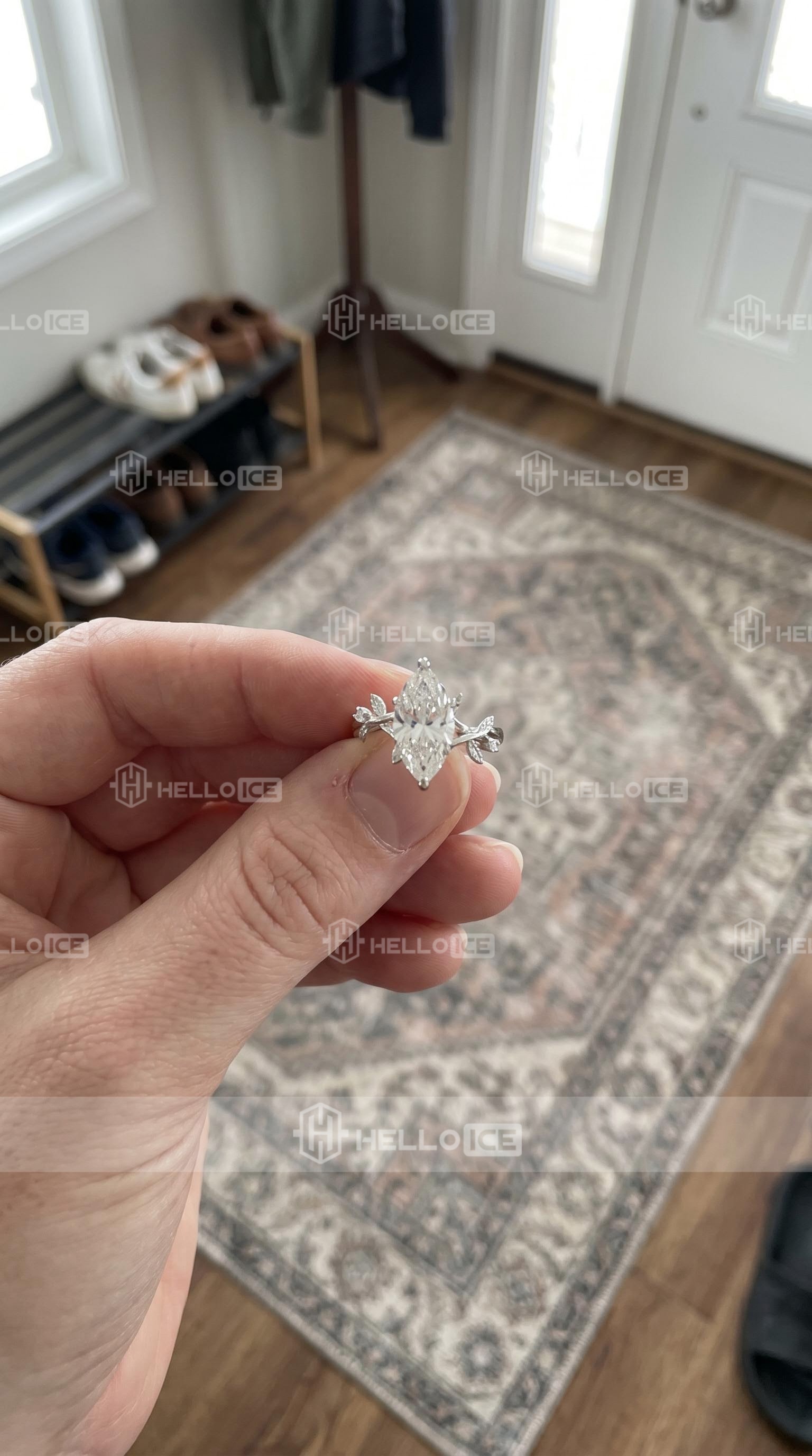 Helloice Review Image