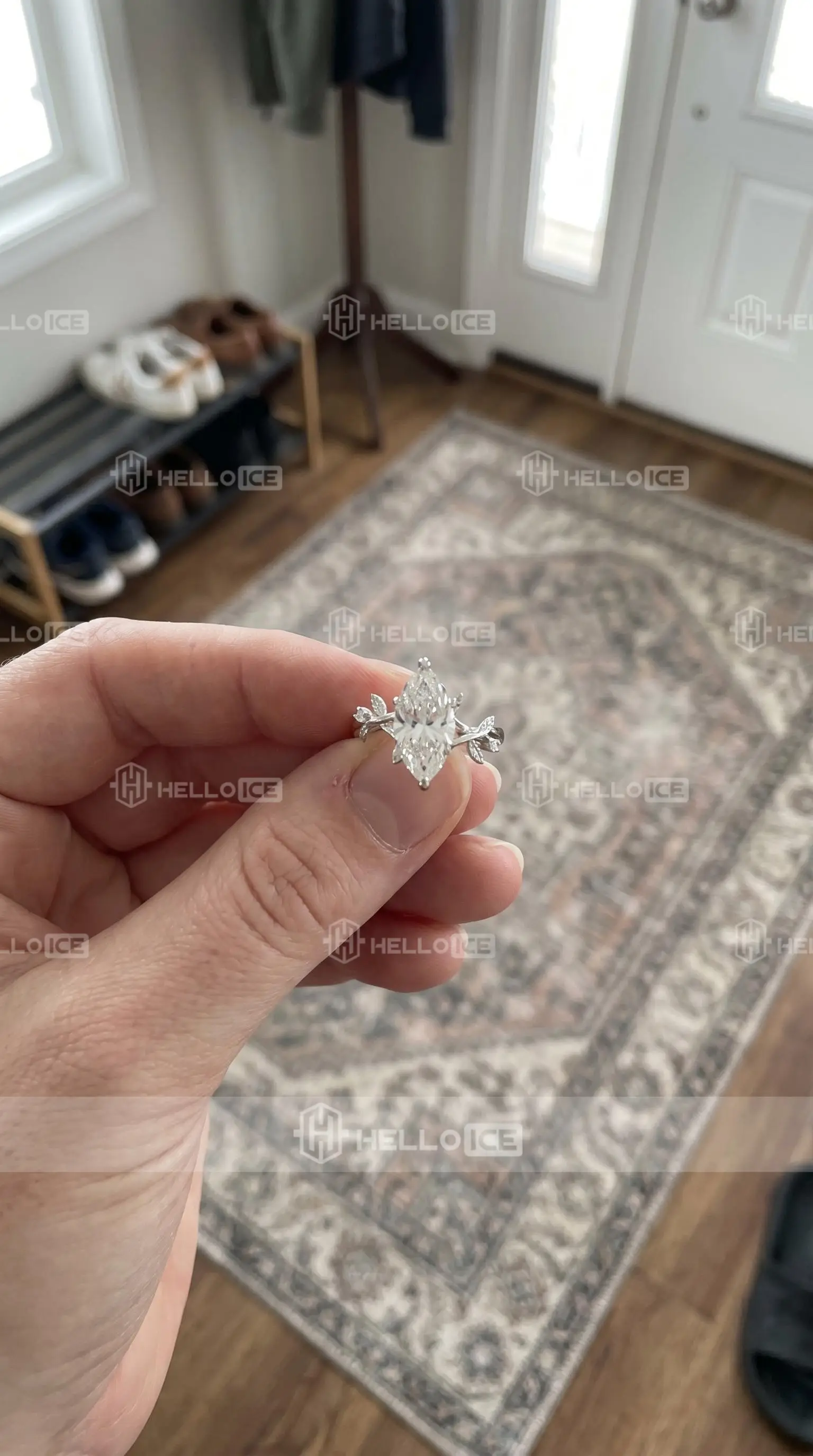 Helloice Review Image