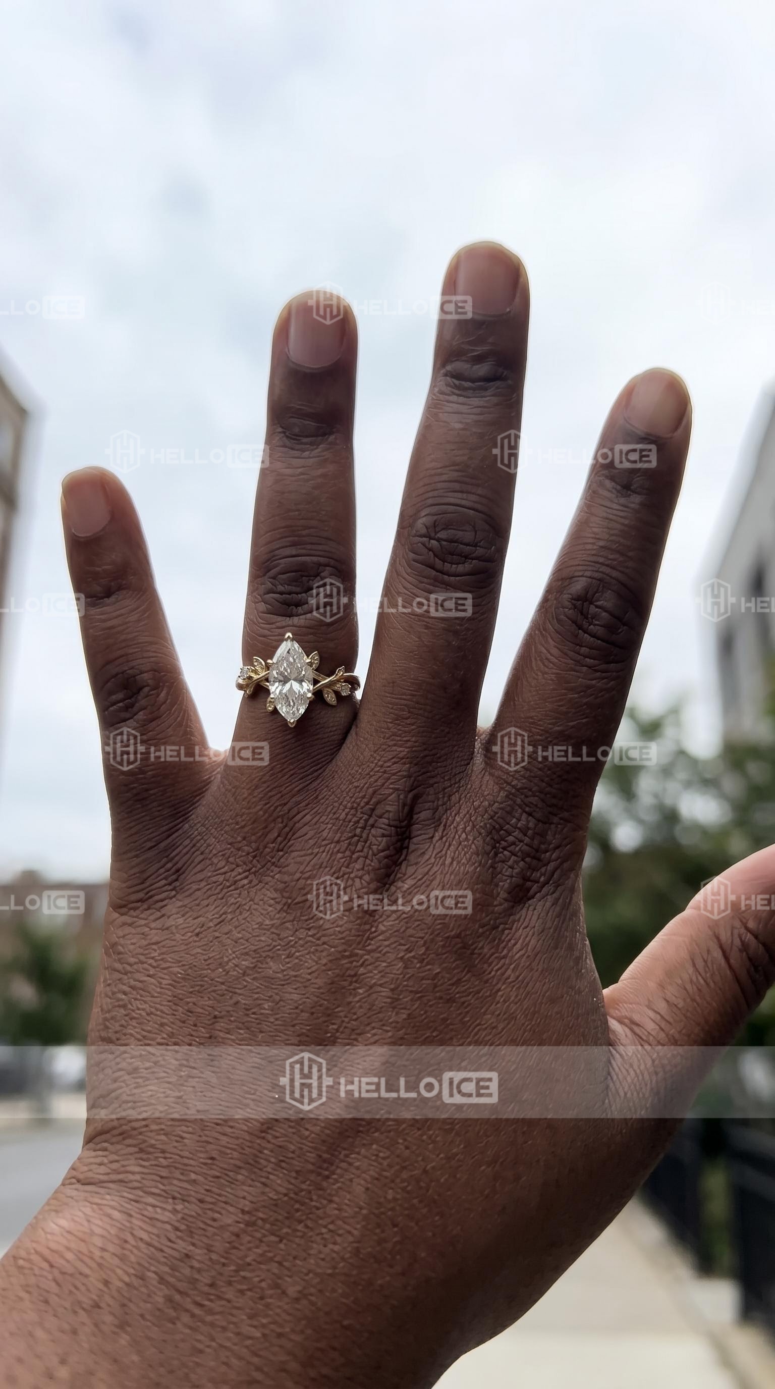 Helloice Review Image